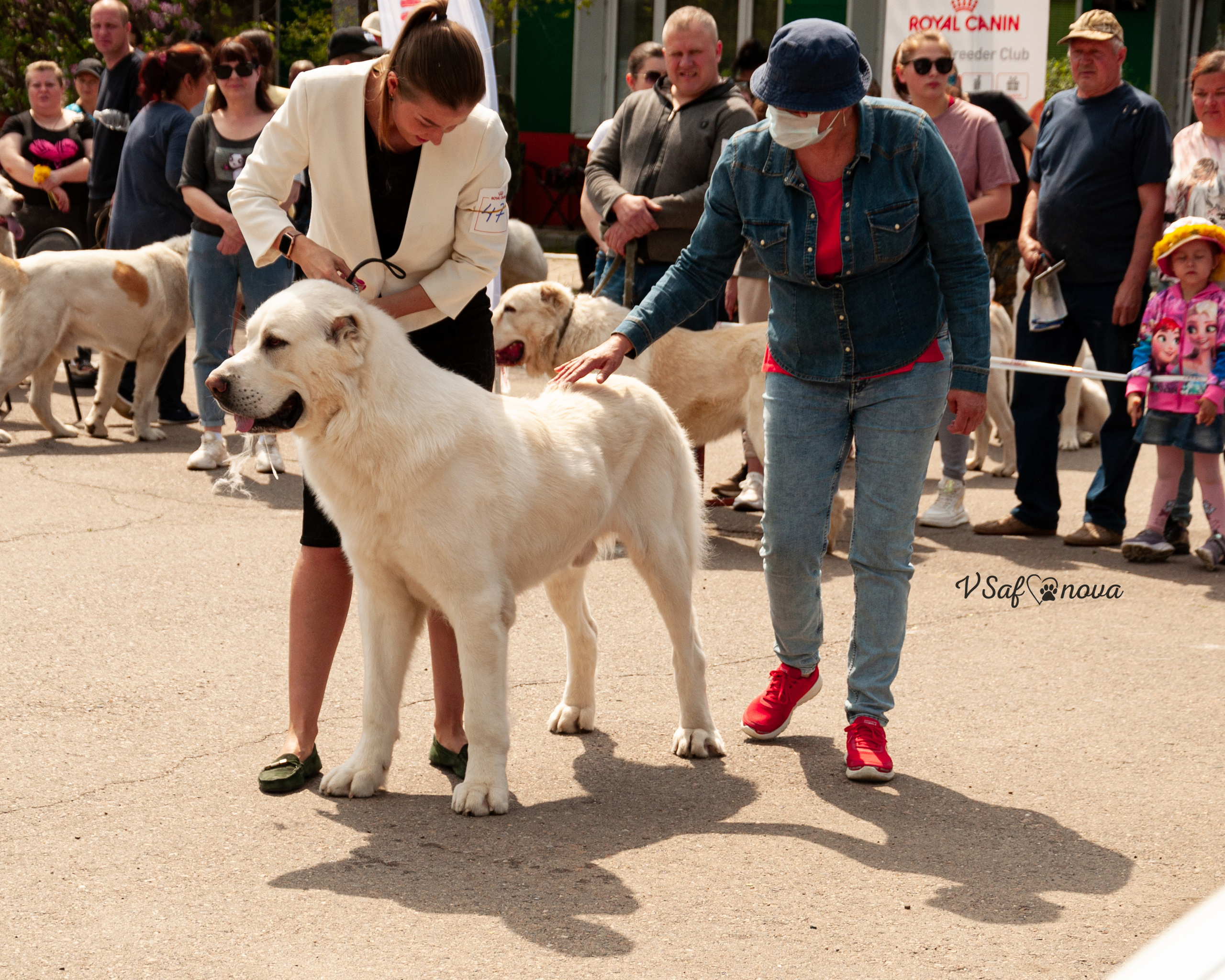 22–23 мая 2021 Благовещенск. Фотограф анималист Благовещенск. Сафонова Виктория