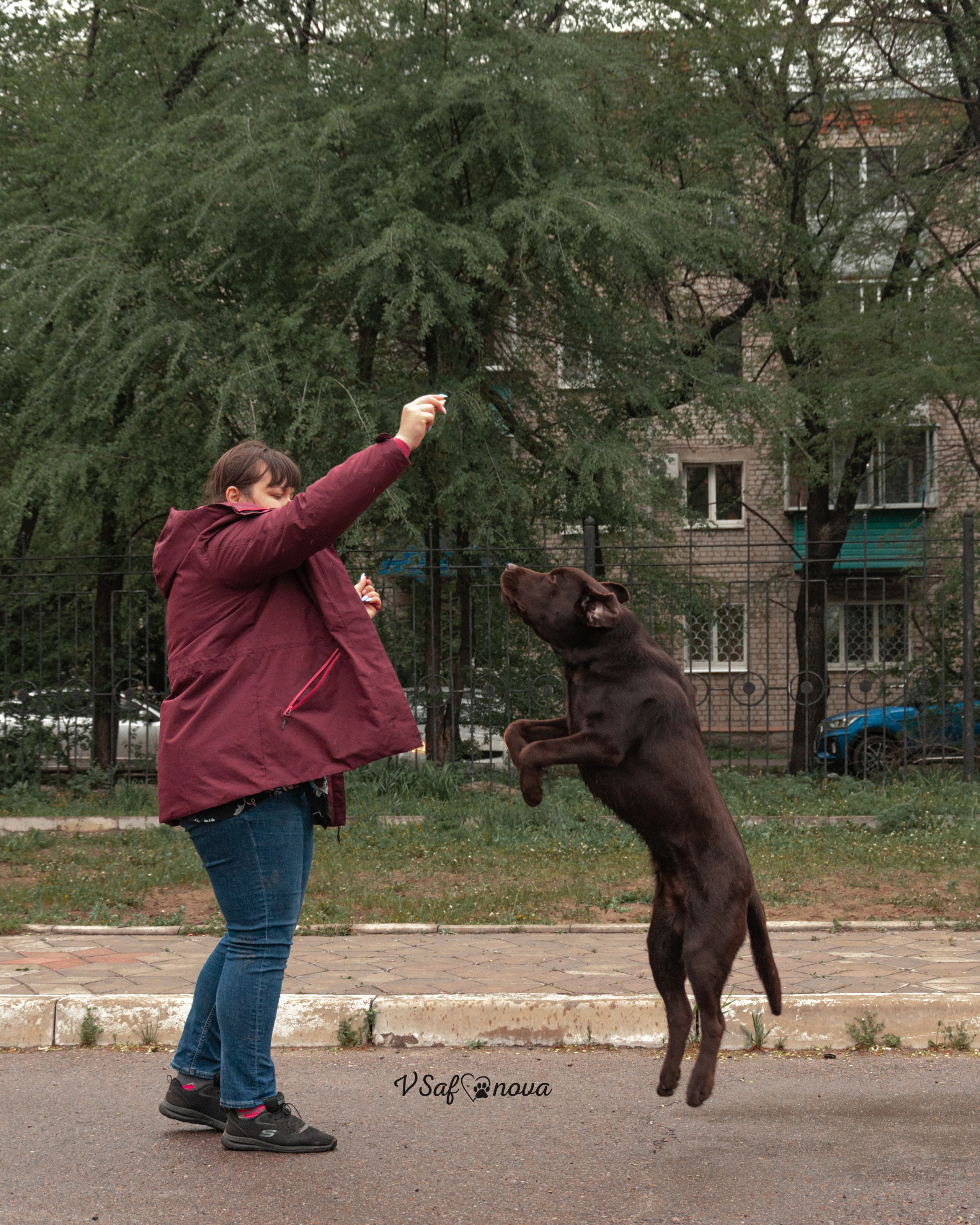 22–23 мая 2021 Благовещенск. Фотограф анималист Благовещенск. Сафонова Виктория