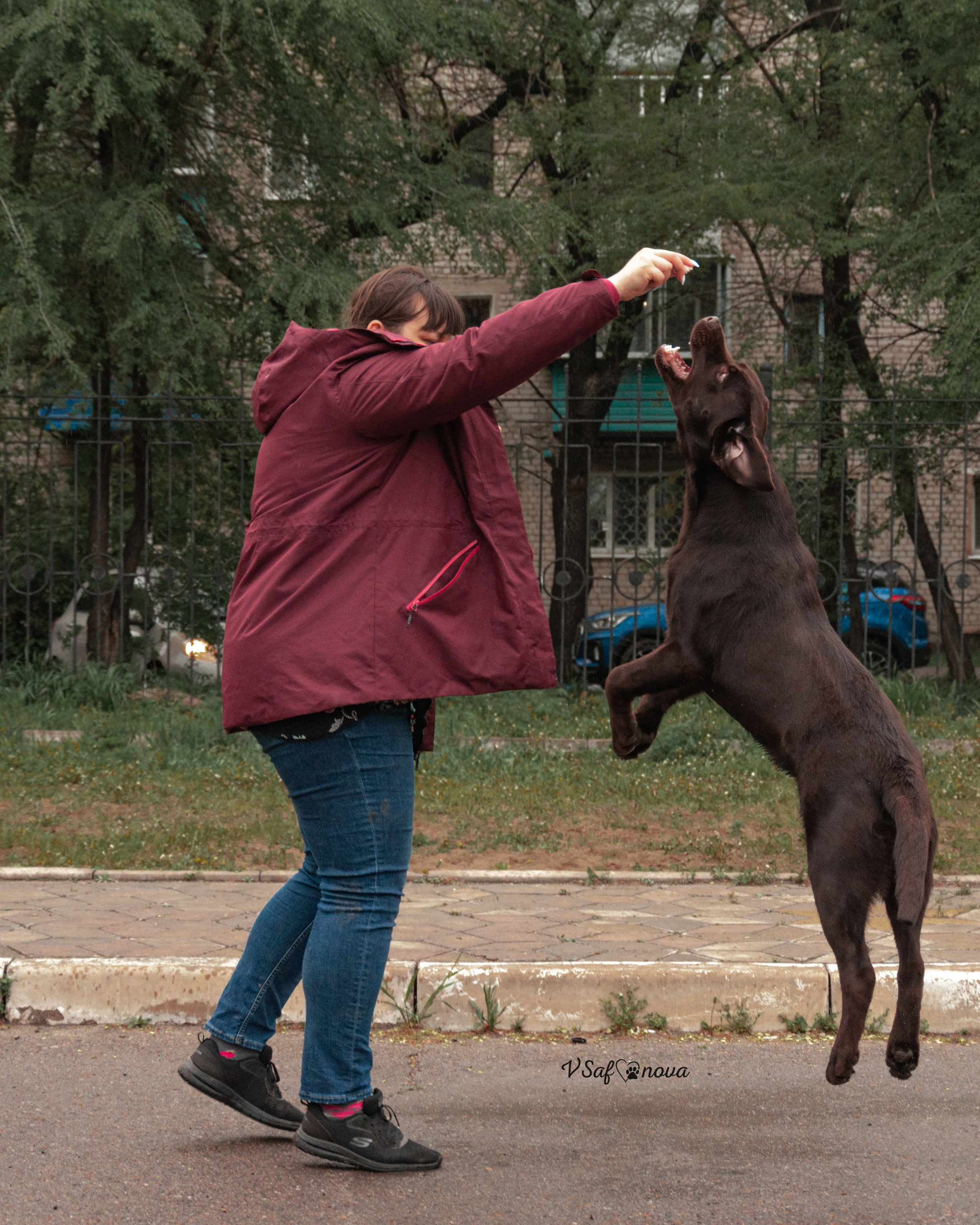 22–23 мая 2021 Благовещенск. Фотограф анималист Благовещенск. Сафонова Виктория