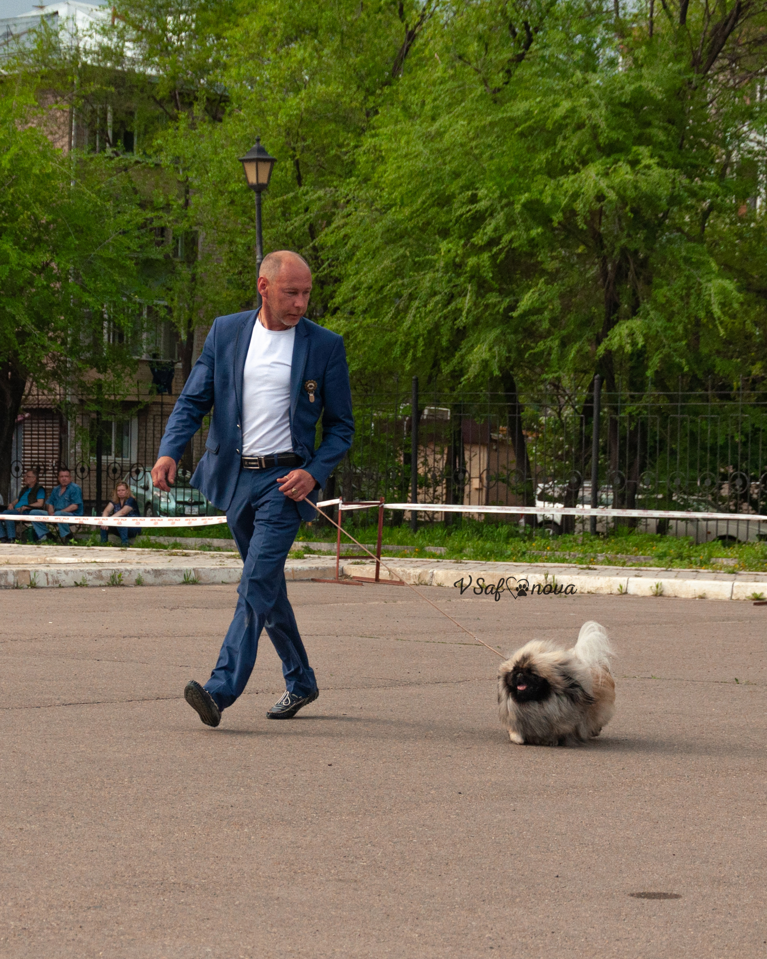 22–23 мая 2021 Благовещенск. Фотограф анималист Благовещенск. Сафонова Виктория
