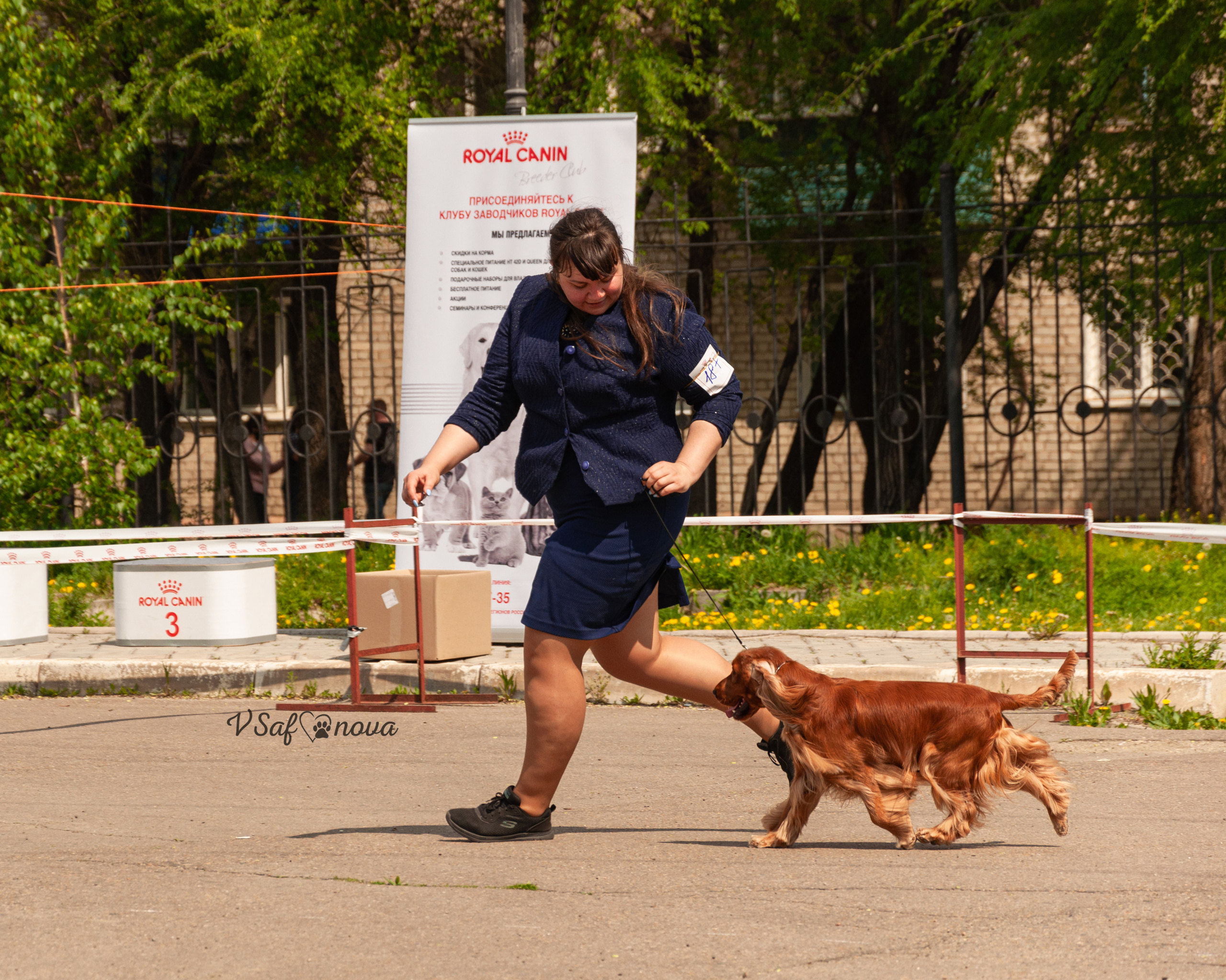 22–23 мая 2021 Благовещенск. Фотограф анималист Благовещенск. Сафонова Виктория