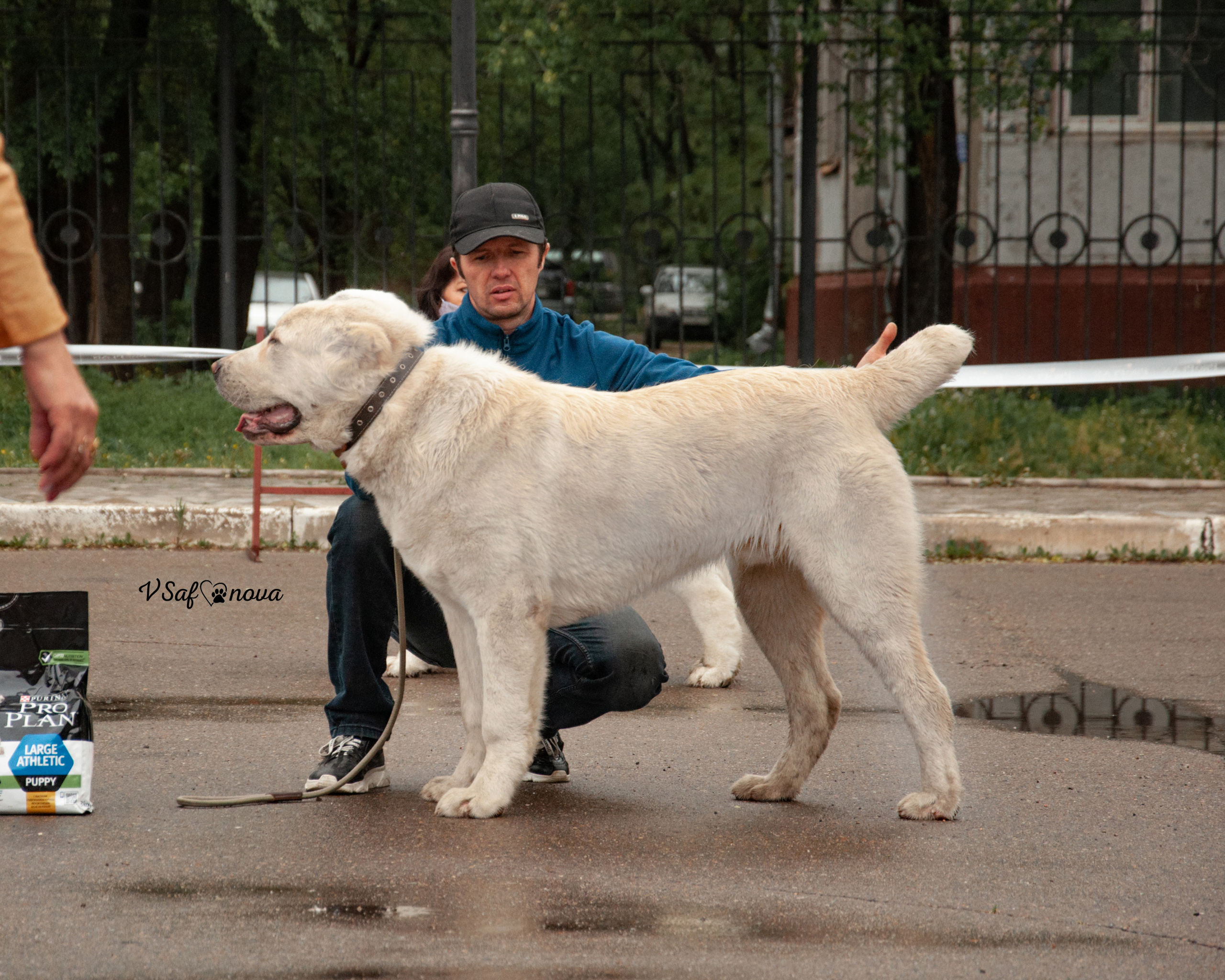 22–23 мая 2021 Благовещенск. Фотограф анималист Благовещенск. Сафонова Виктория