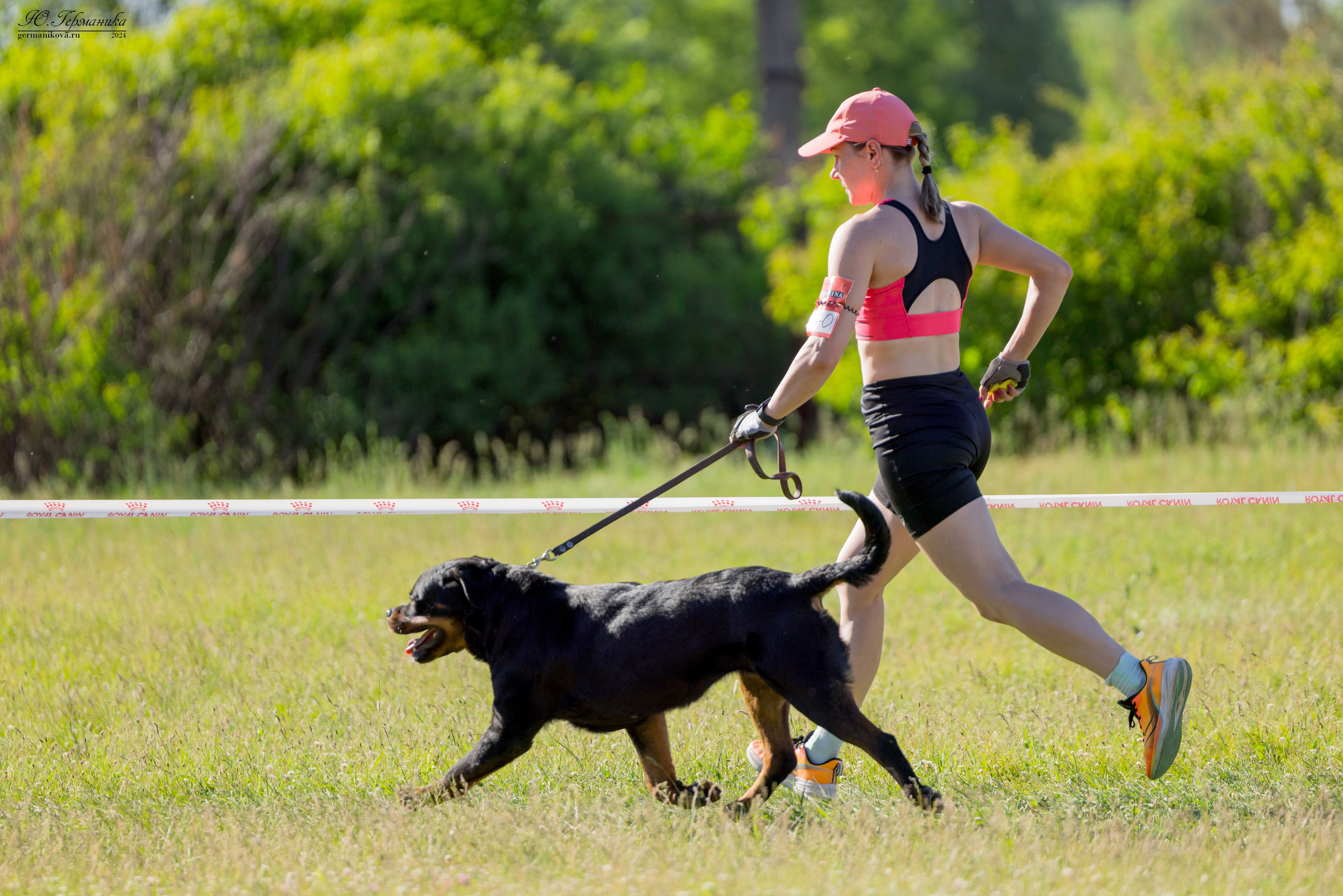 Воронеж моно ротвейлеров 25-26.05.2024. Фотограф-анималист Юлия Германика
