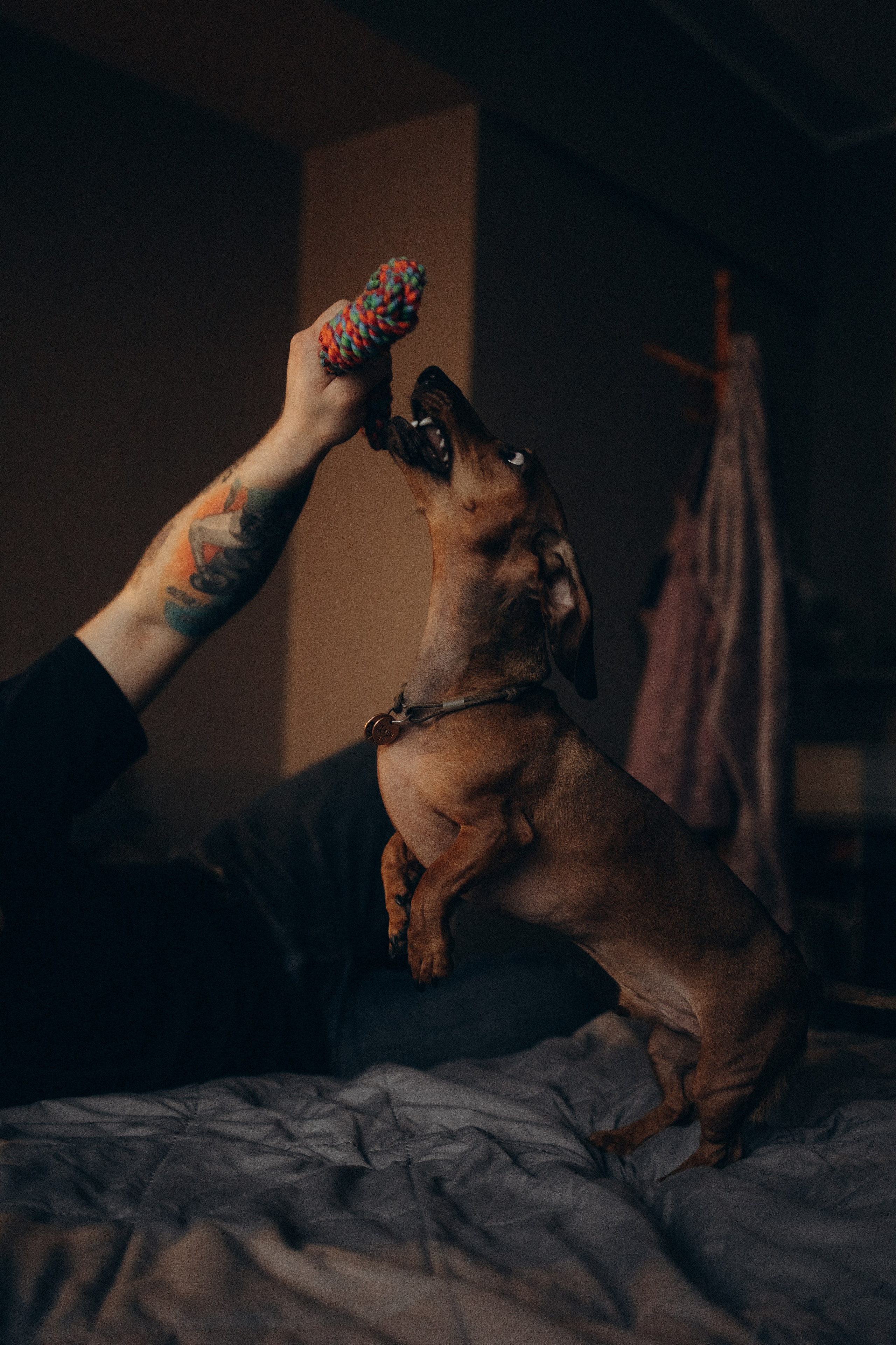 Маша и ее семья. Фотораф — анималист Мария Шистка