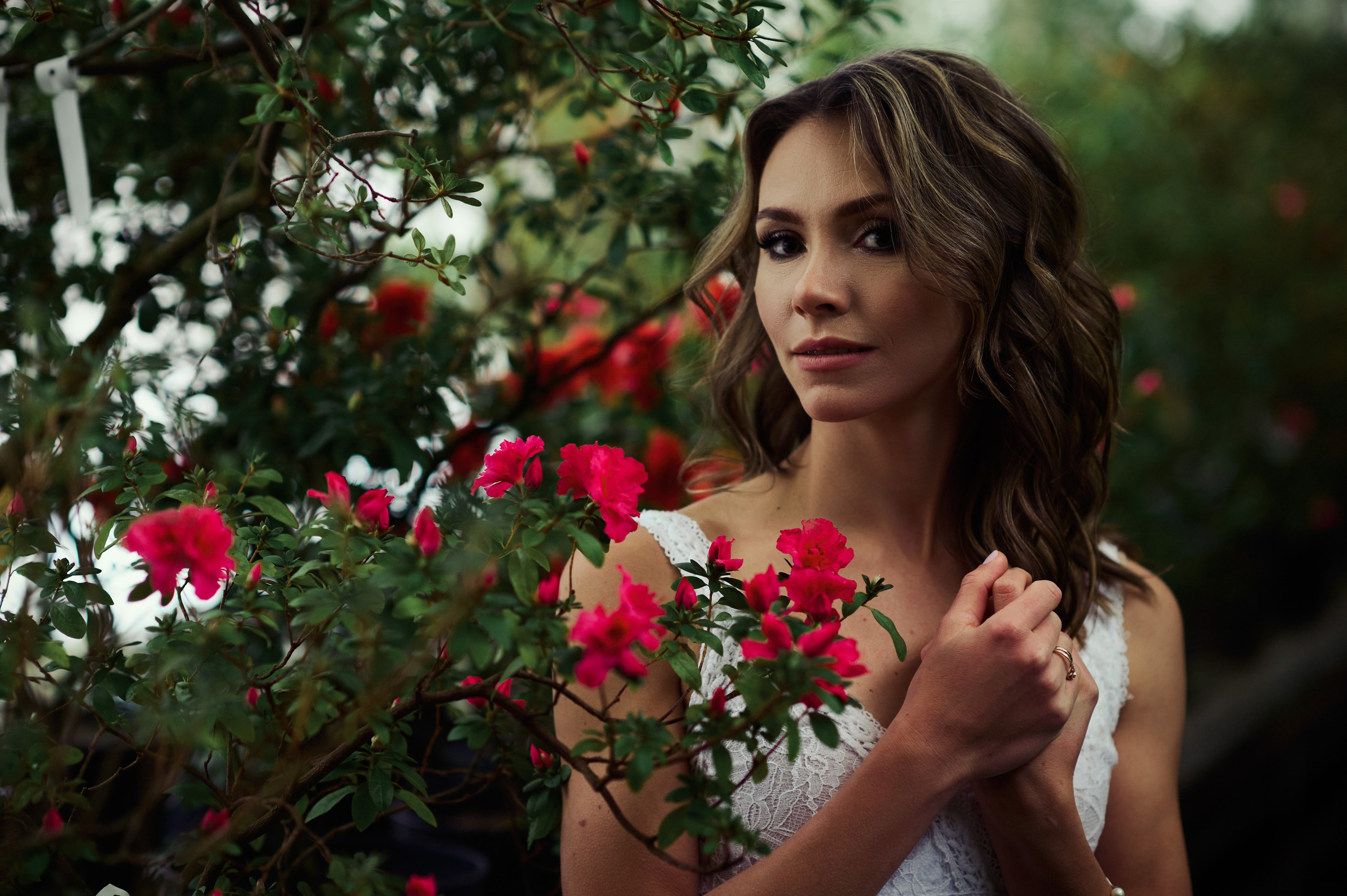 Свадьба, Илья, Алиса. Главная