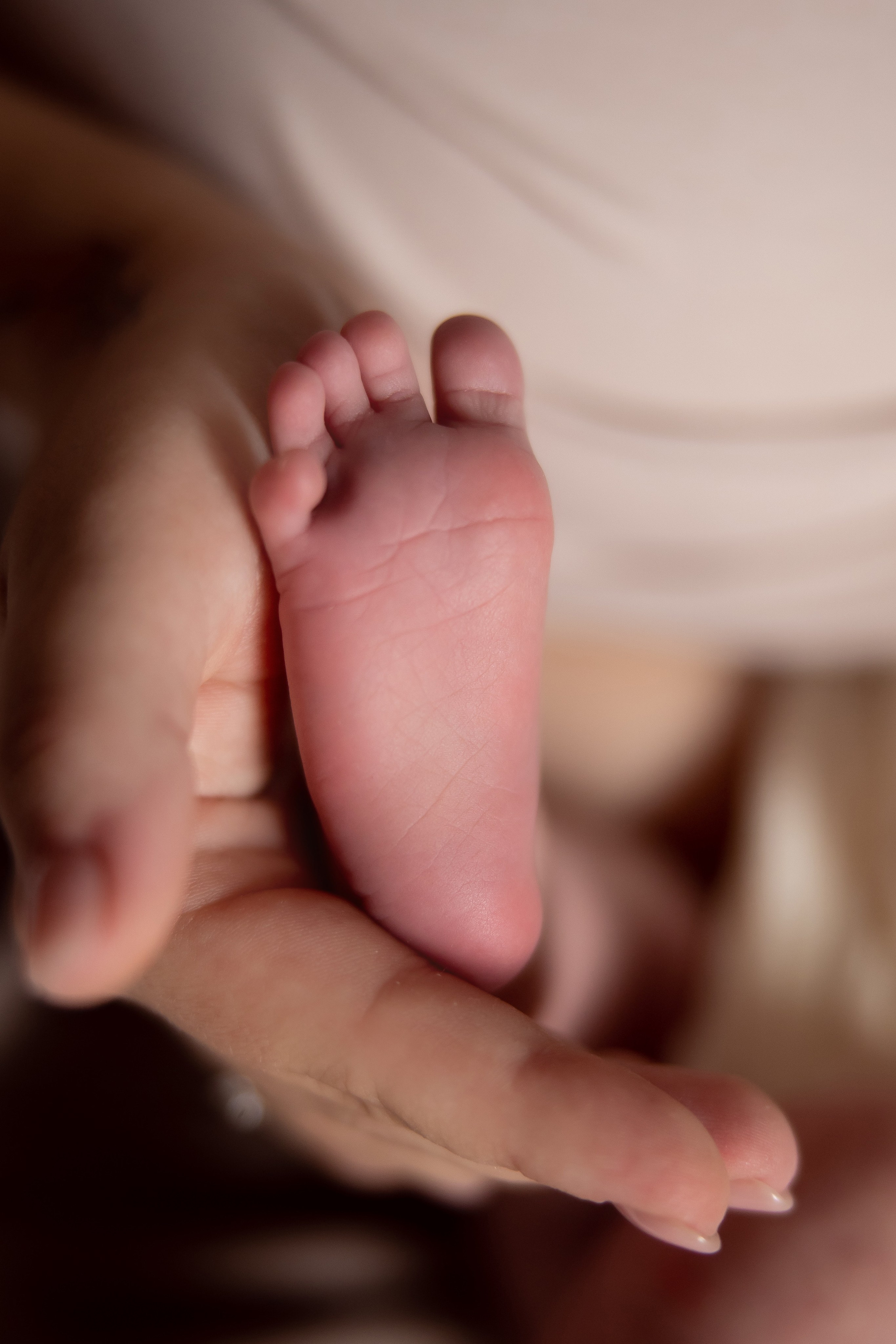 Семейные, домашние уюты. Семейный фотограф в Москве