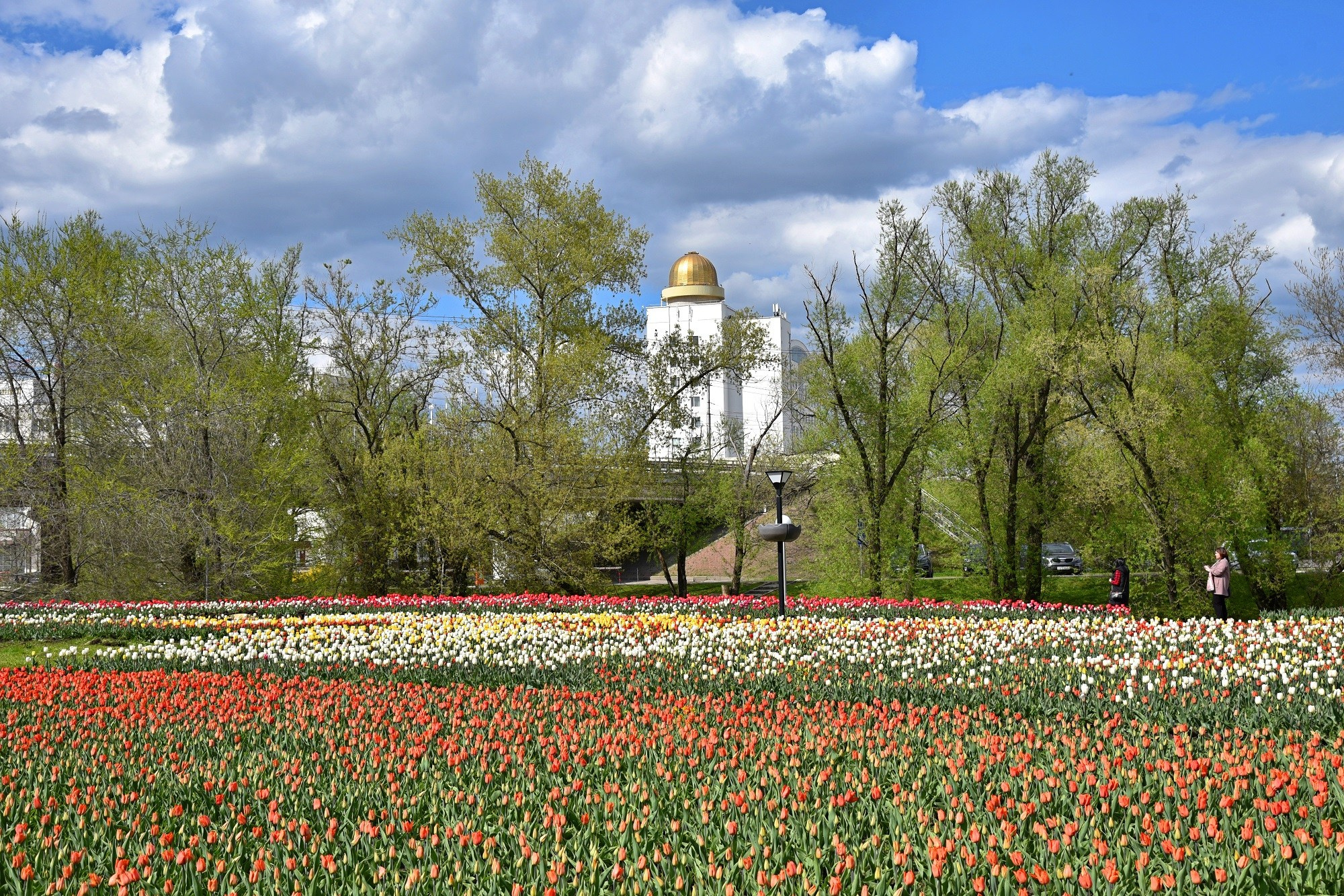 Белгород. Творческий уголок фотографа из Белгорода Ивановой Елены