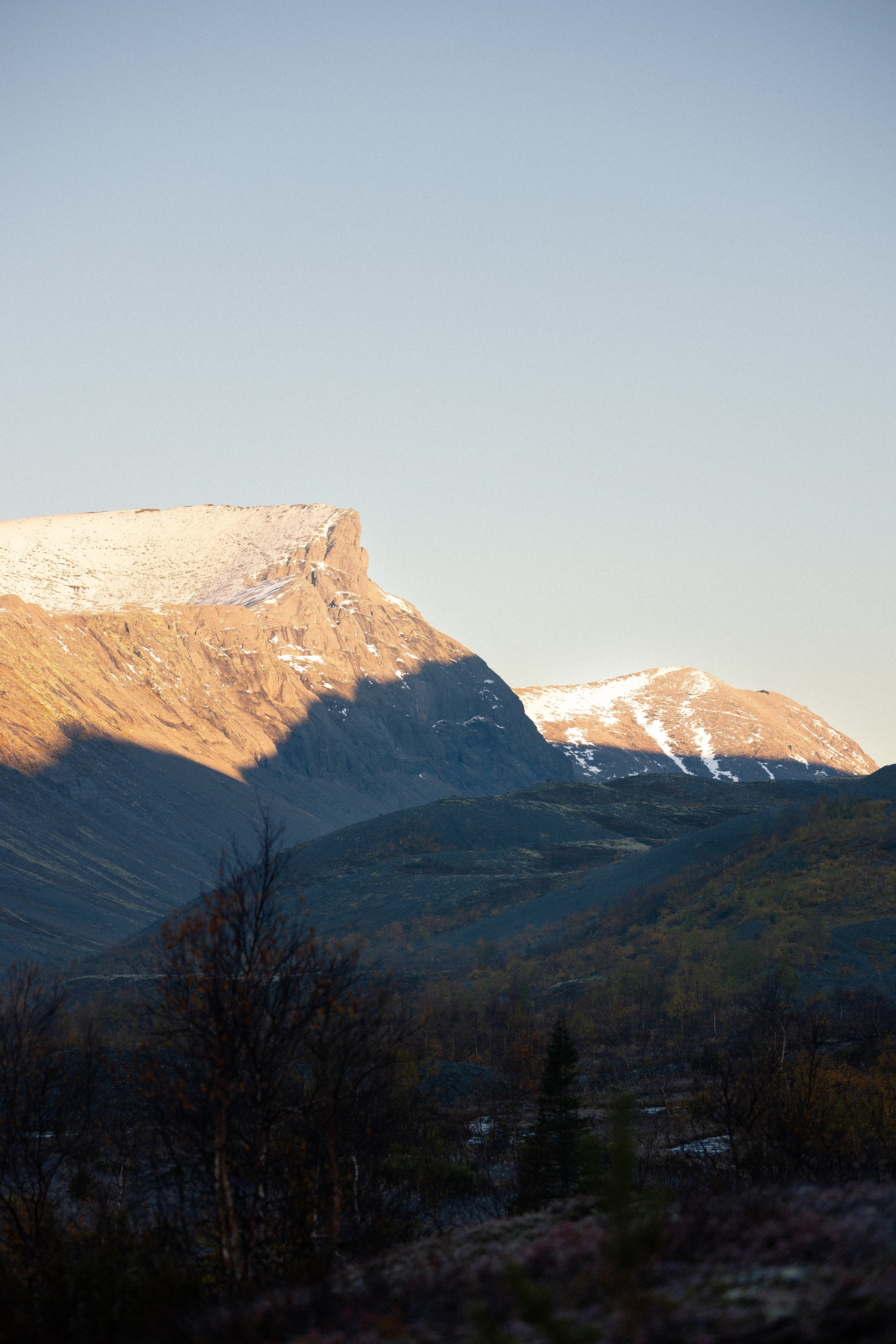 Кольский. Фотограф и видеограф анималист Аганина Дарья