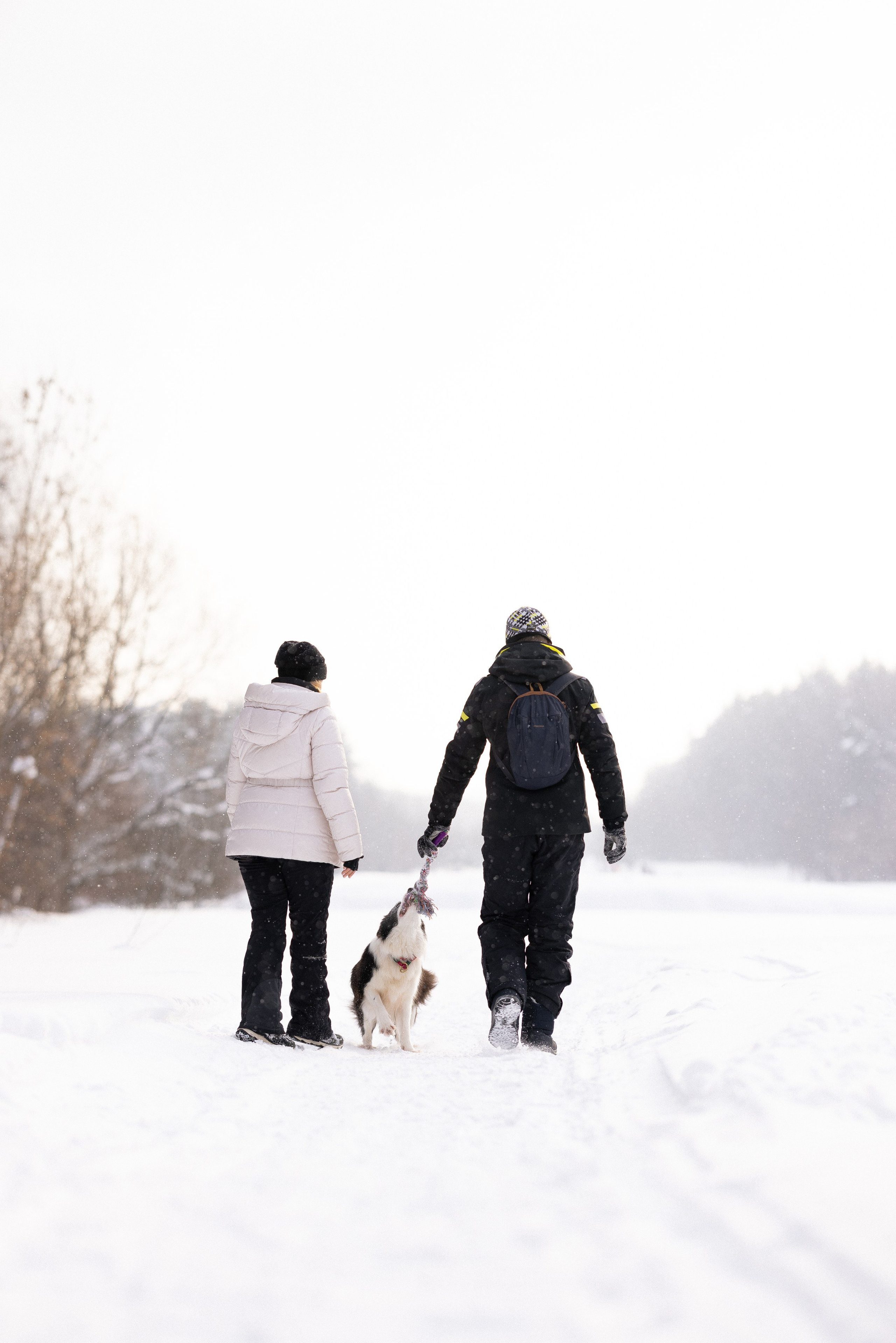 Лилия, Алексей и Ариана. Фотограф и видеограф анималист Аганина Дарья