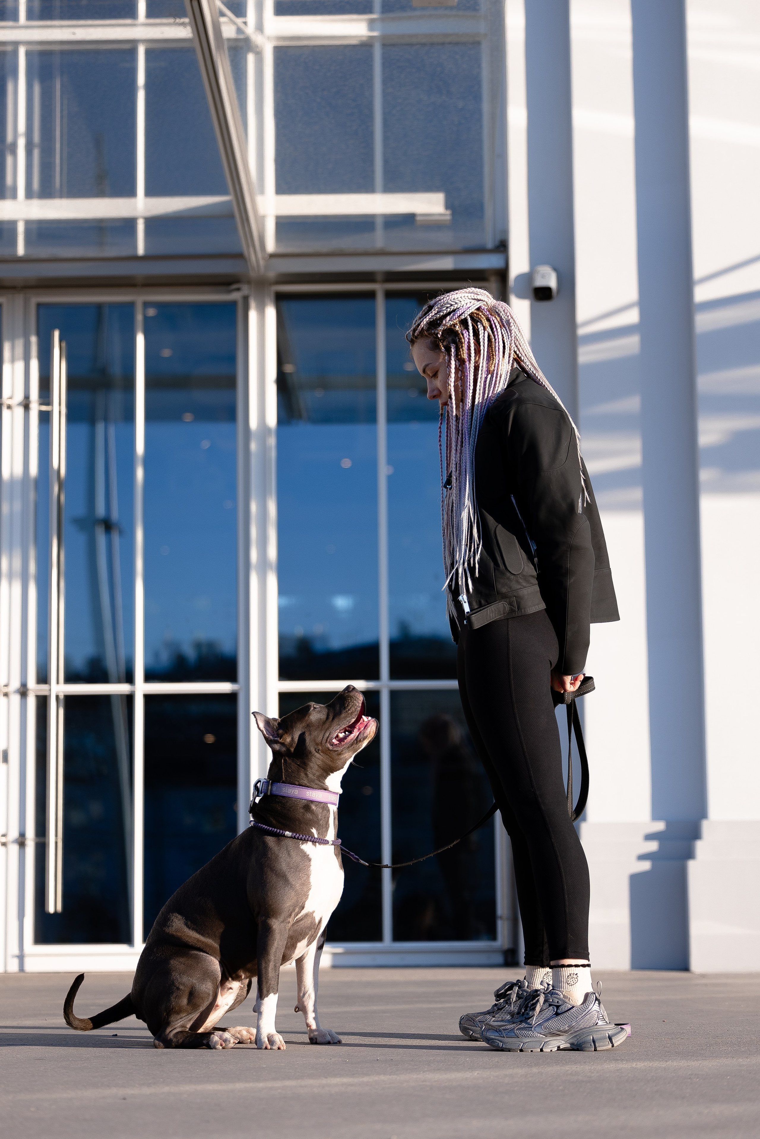 Катя, Леша, Трой и Лея. Фотограф и видеограф анималист Аганина Дарья