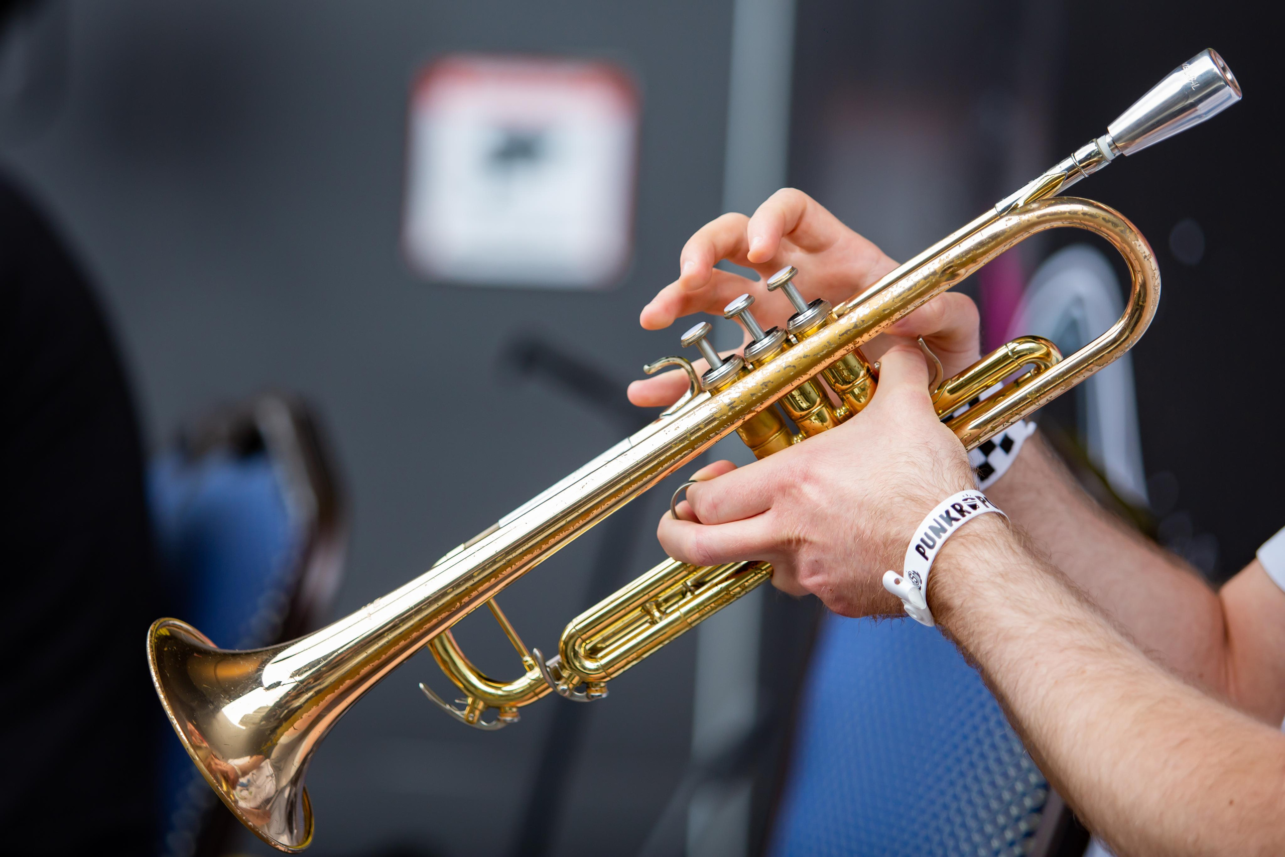 PLUSH FISH. Photographer Sonkina Tatiana (Tanya Ash)