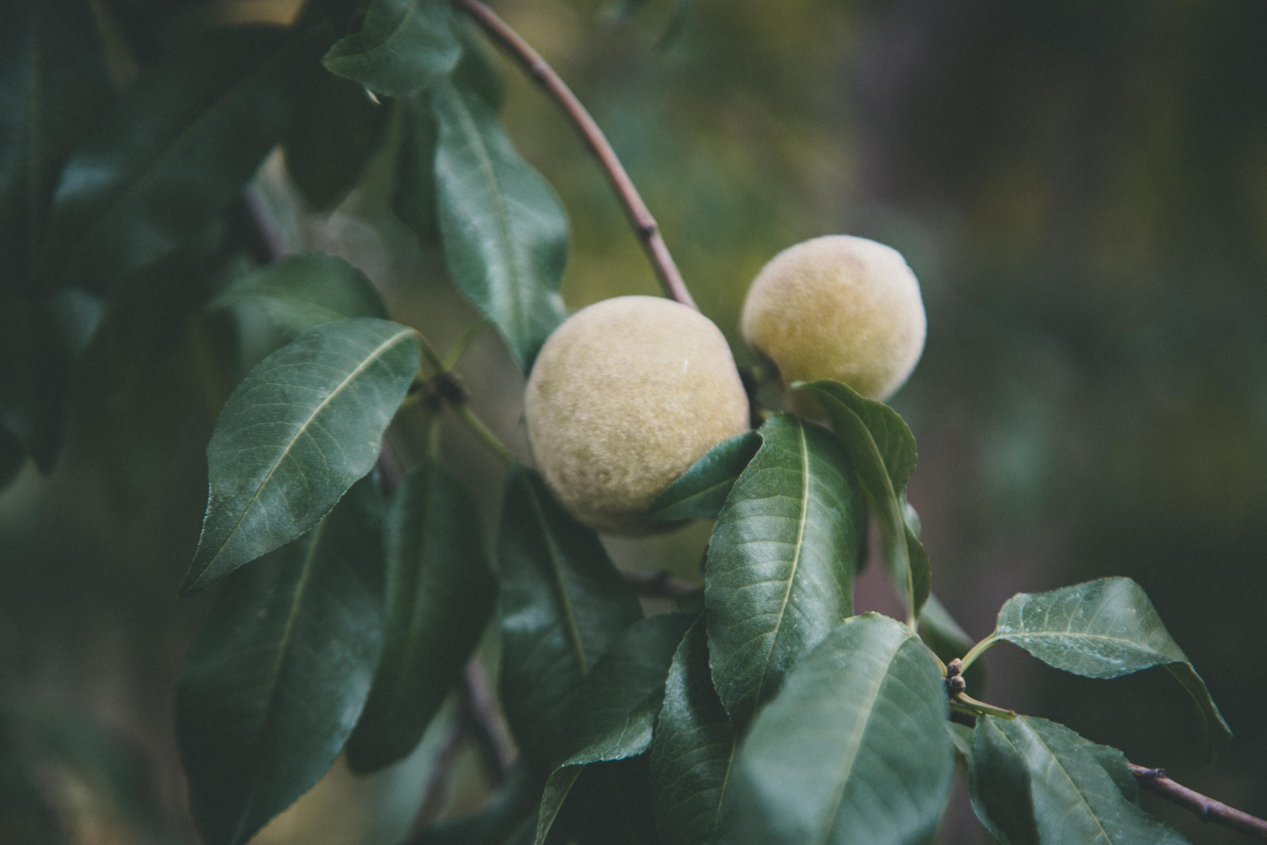 Астрахань. Photographer Sonkina Tatiana (Tanya Ash)