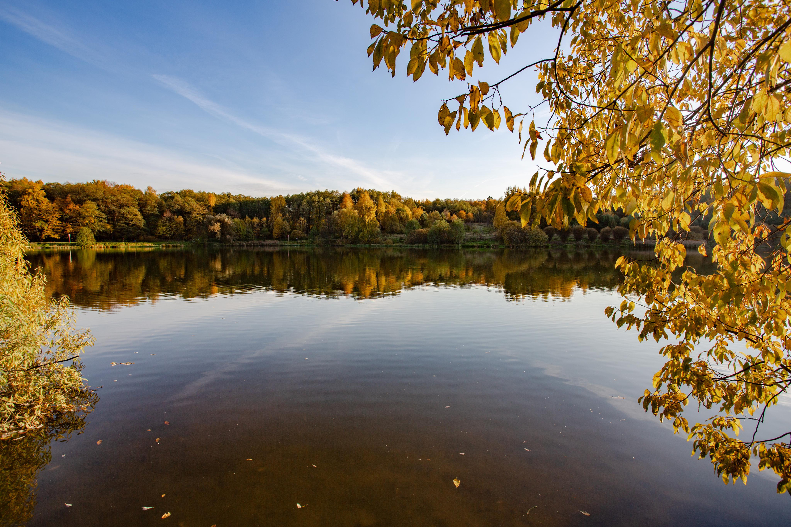 Лебедянский пруд в Измайловском лесопарке