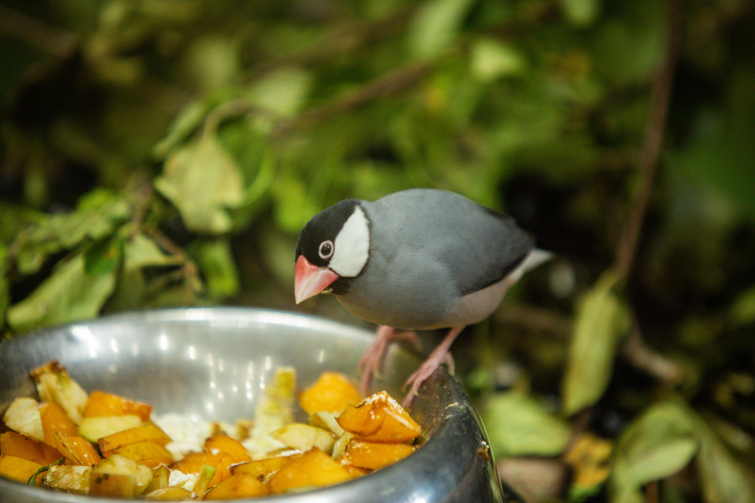 Izhevsk zoo. Photographer Sonkina Tatiana (Tanya Ash)