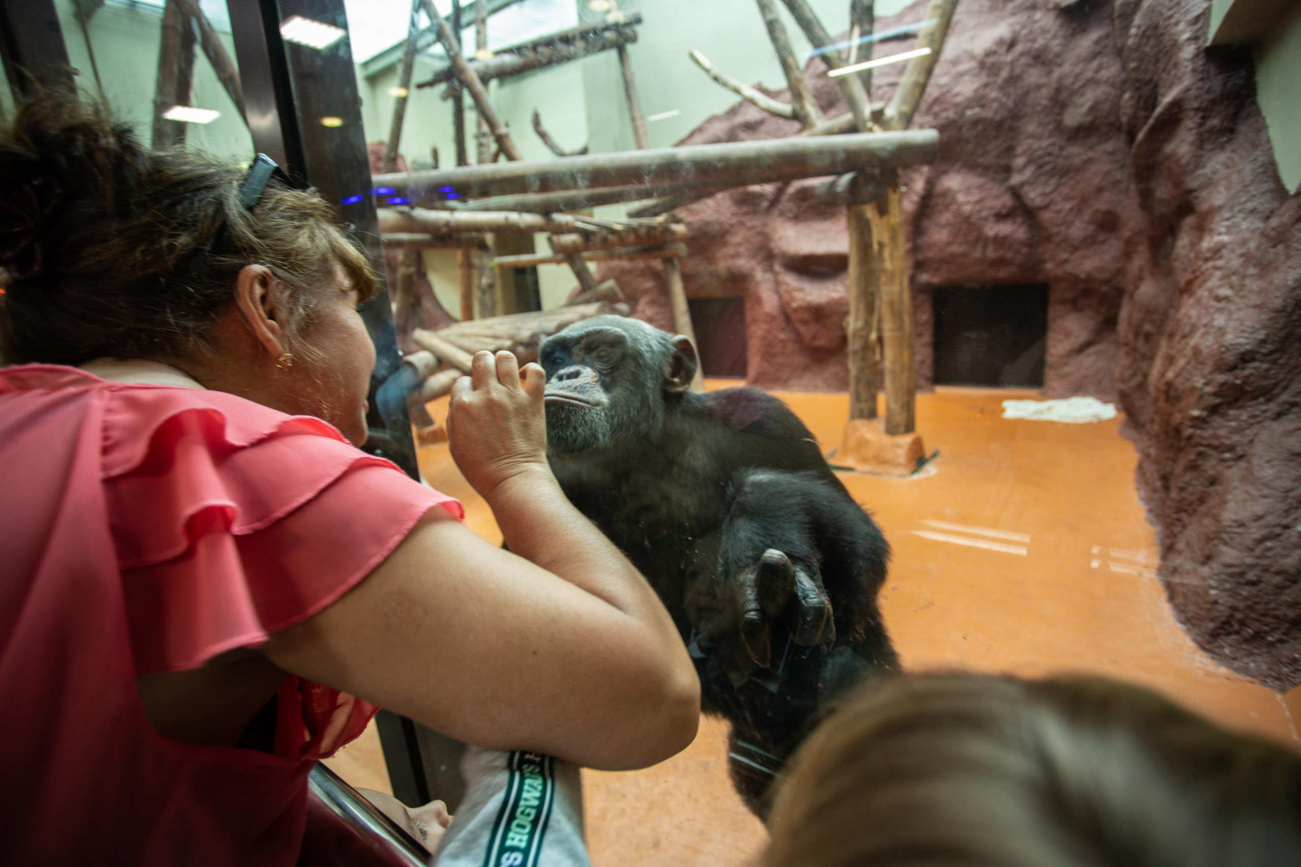 Izhevsk zoo. Photographer Sonkina Tatiana (Tanya Ash)