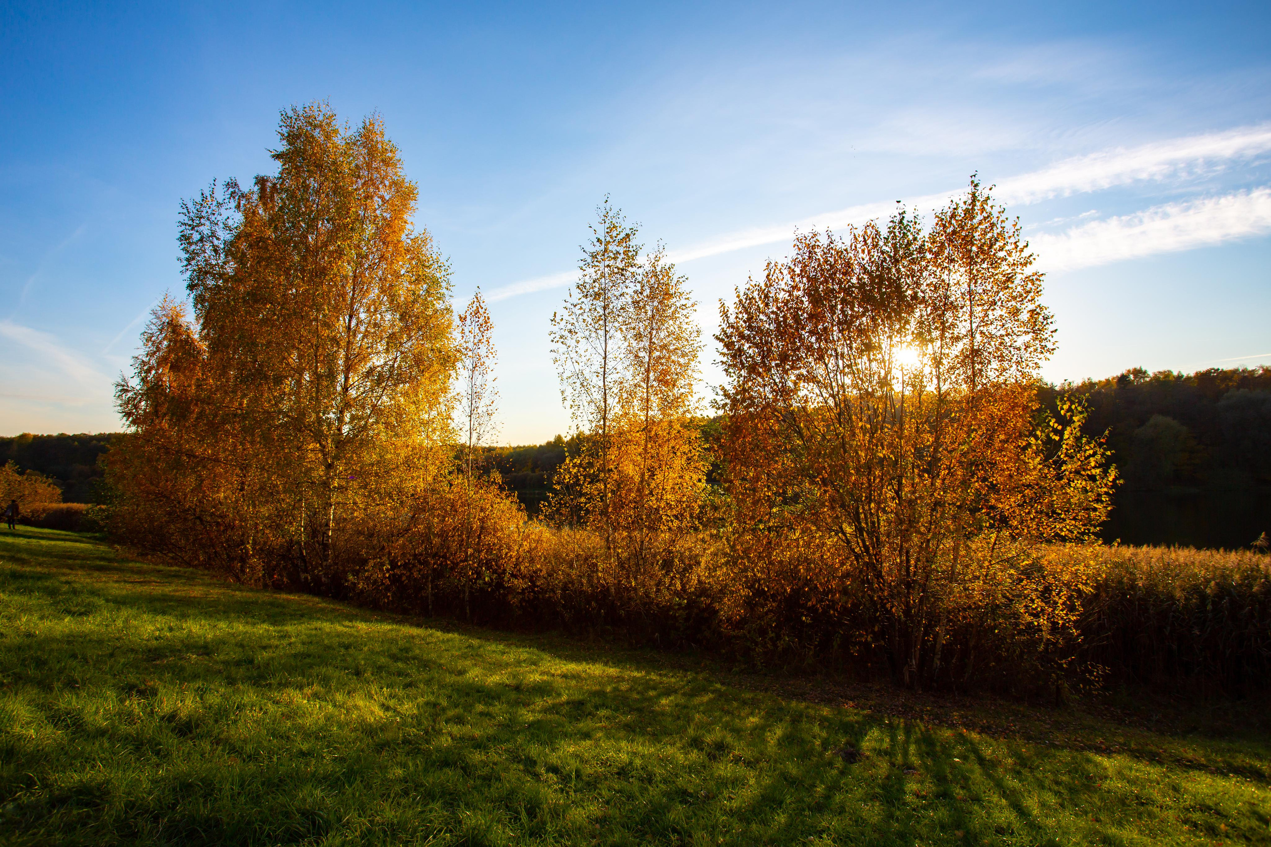 Октябрь в Измайловском лесопарке