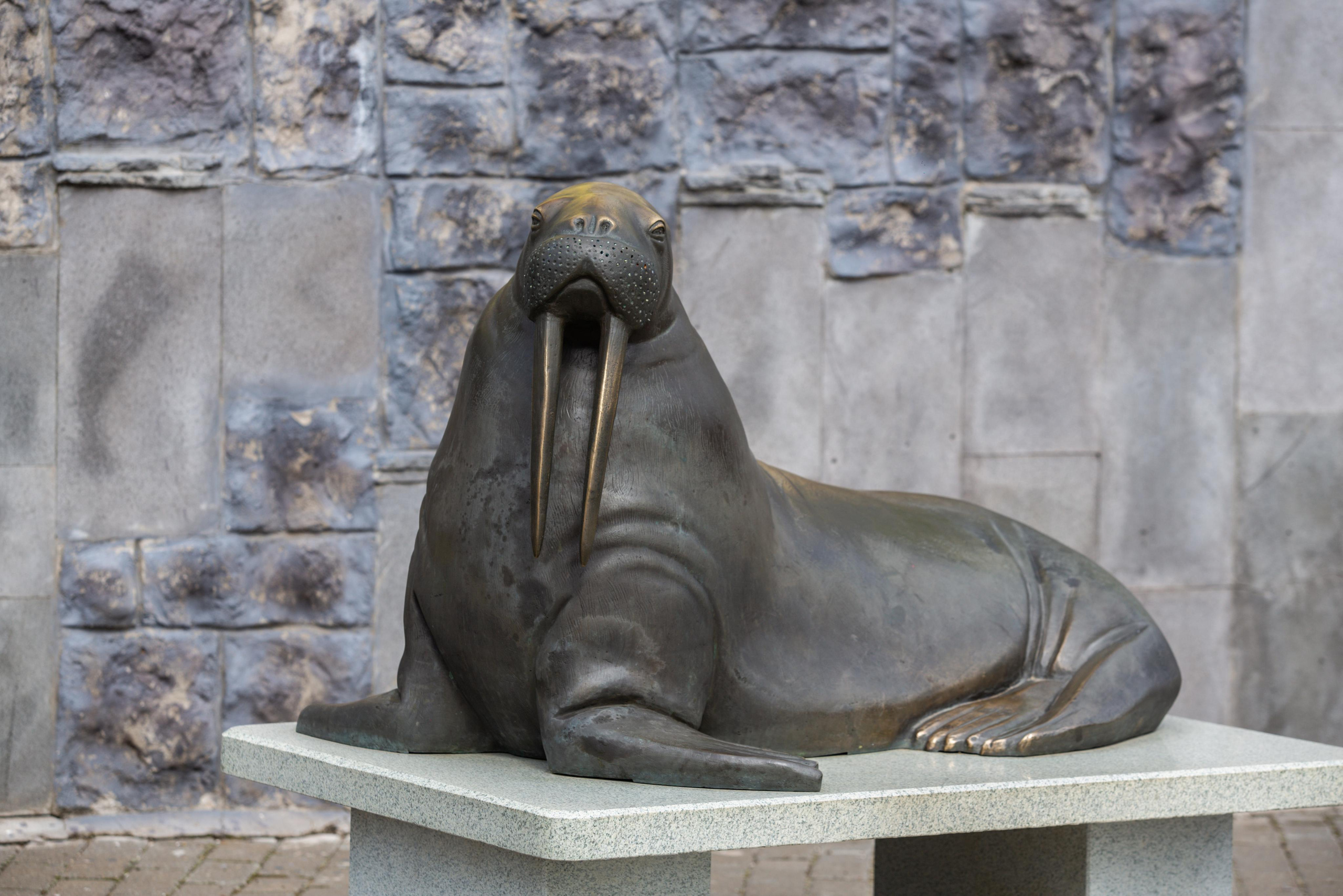 Izhevsk zoo. Photographer Sonkina Tatiana (Tanya Ash)