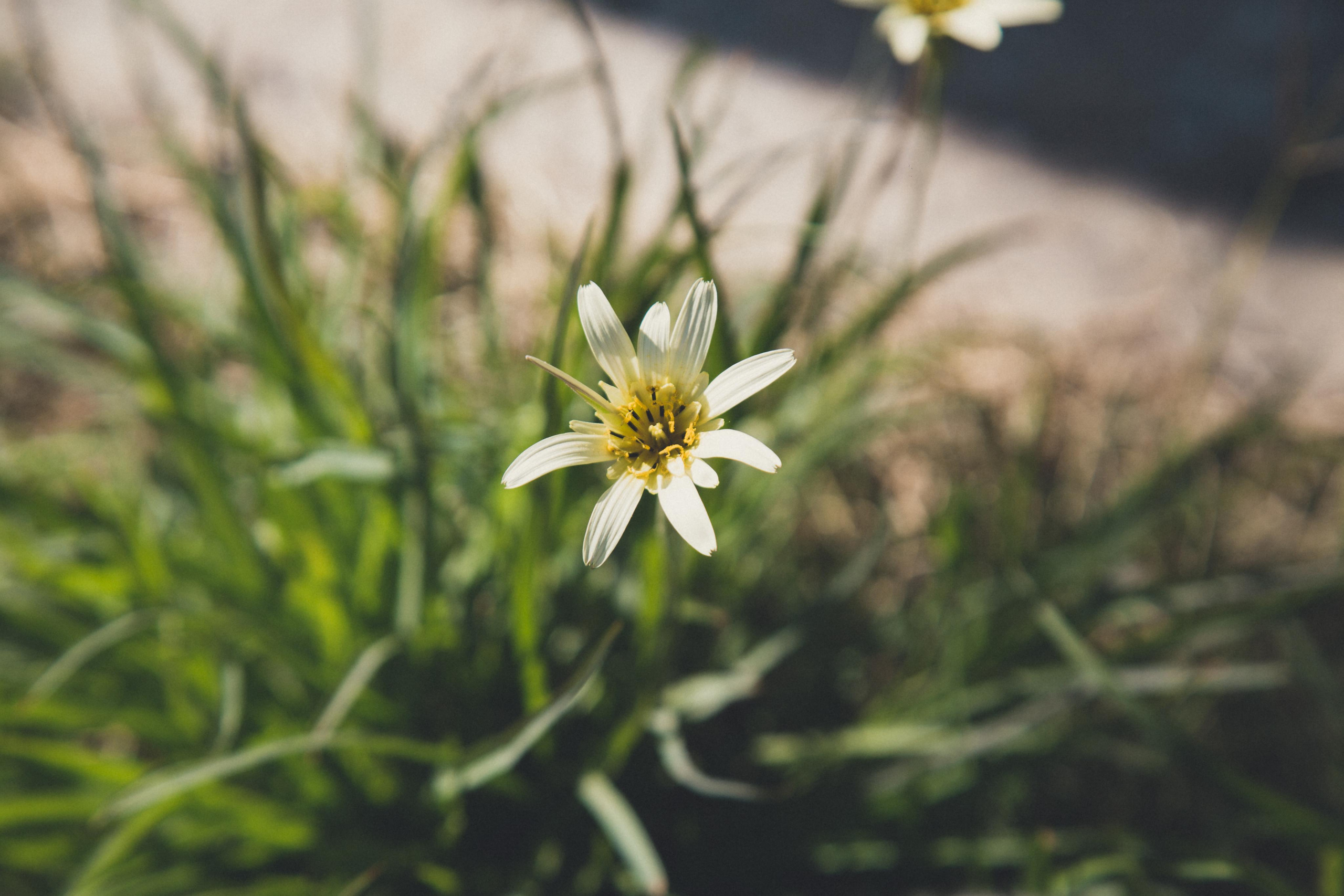 Астрахань. Photographer Sonkina Tatiana (Tanya Ash)
