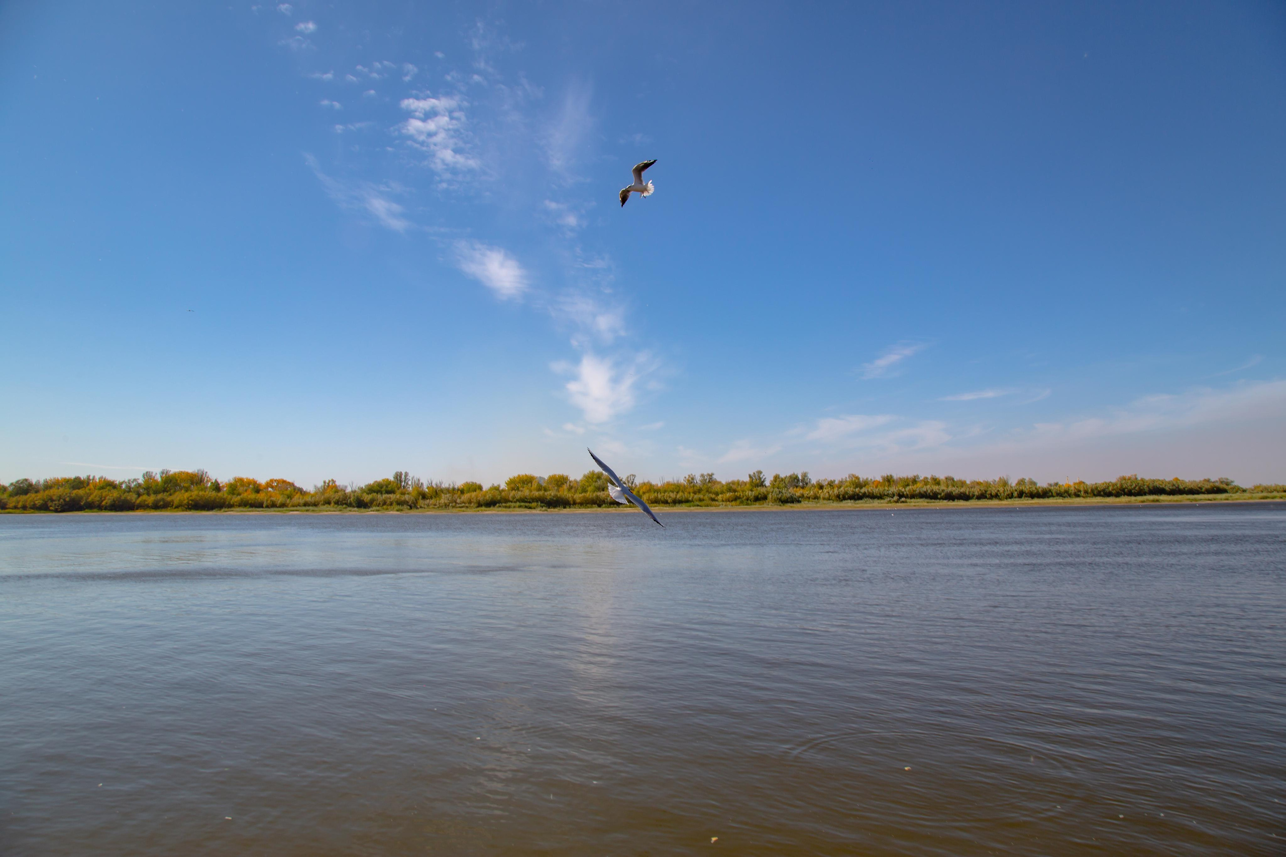 Астрахань. Photographer Sonkina Tatiana (Tanya Ash)