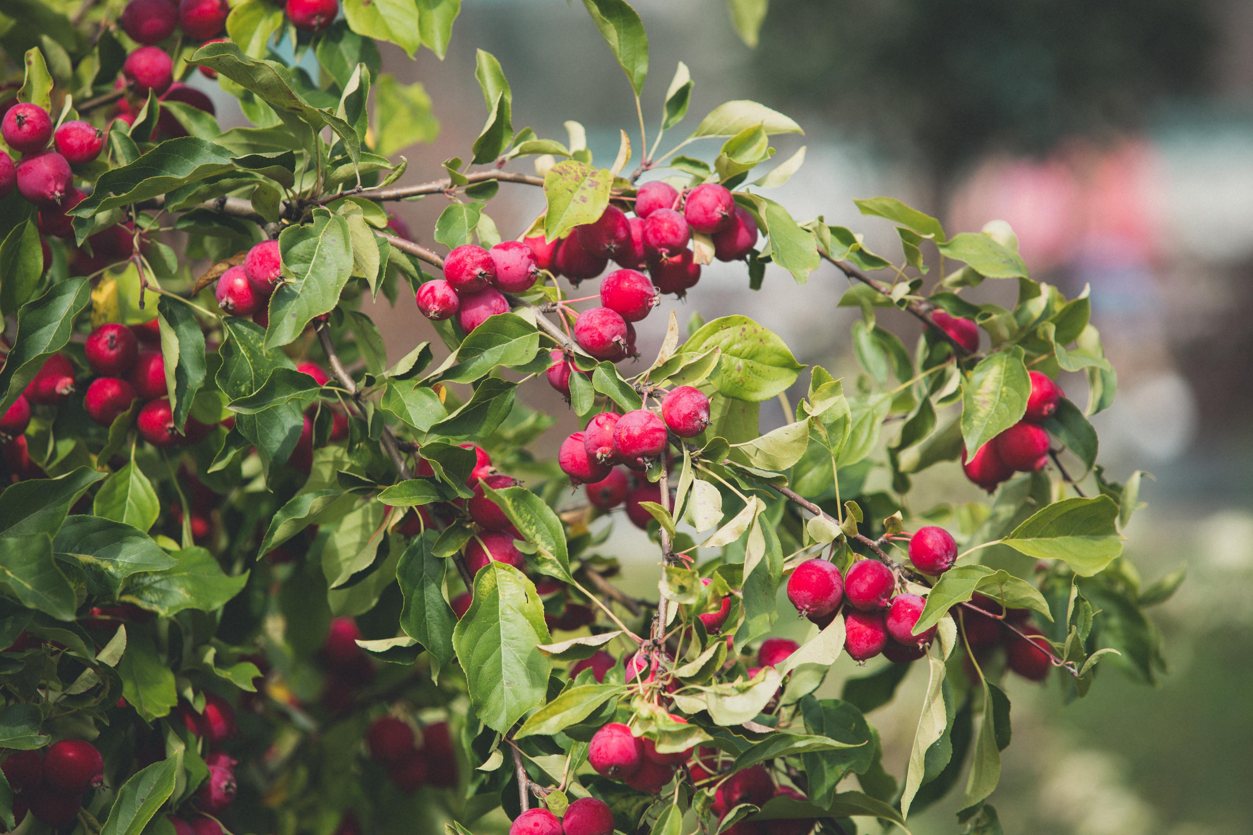 Izhevsk zoo. Photographer Sonkina Tatiana (Tanya Ash)