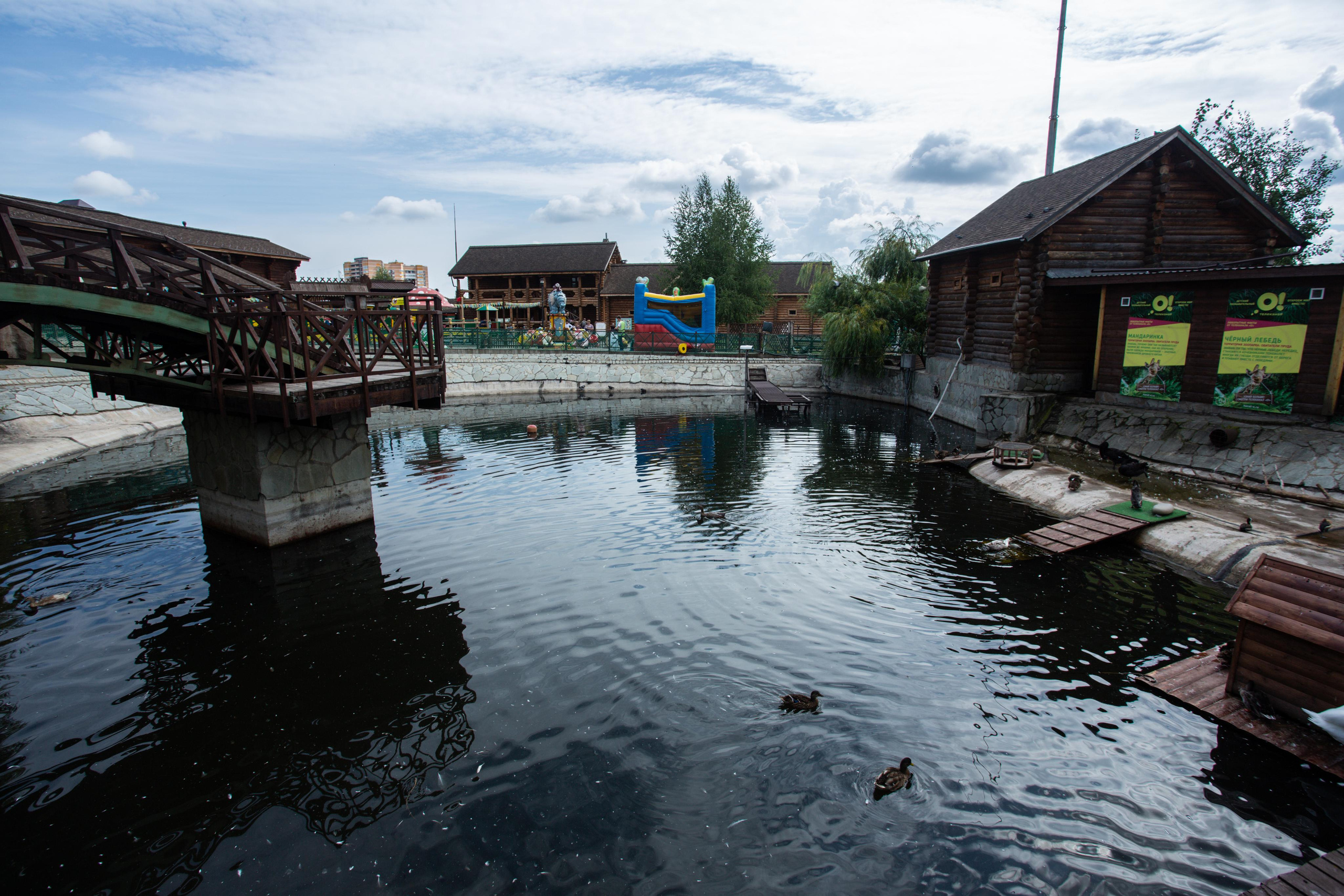 Izhevsk zoo. Photographer Sonkina Tatiana (Tanya Ash)