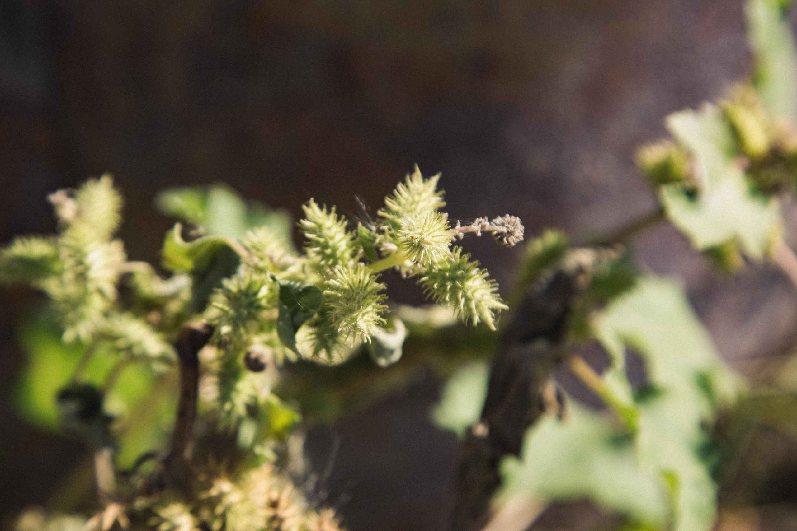 Астрахань. Photographer Sonkina Tatiana (Tanya Ash)