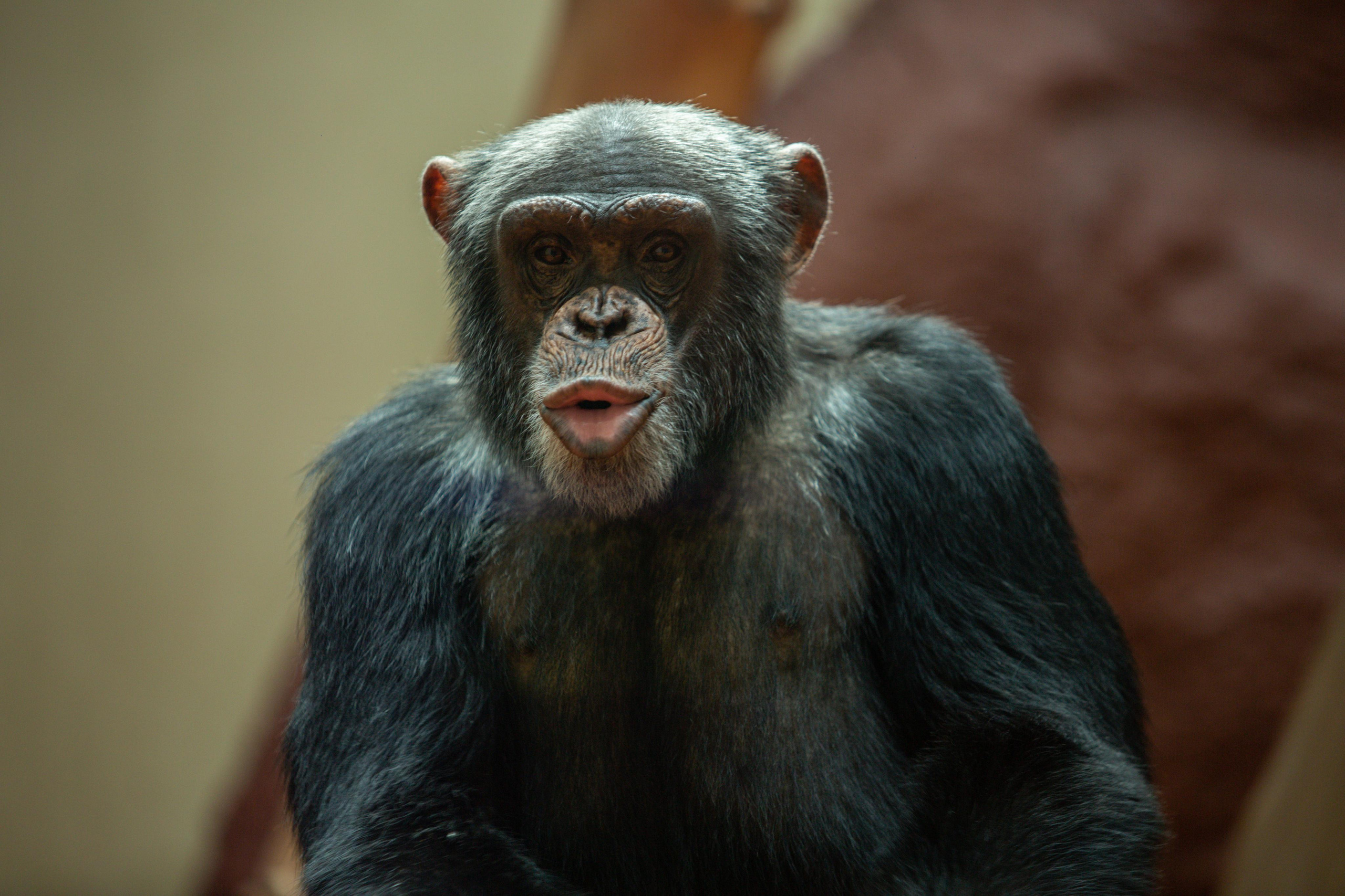 Izhevsk zoo. Photographer Sonkina Tatiana (Tanya Ash)