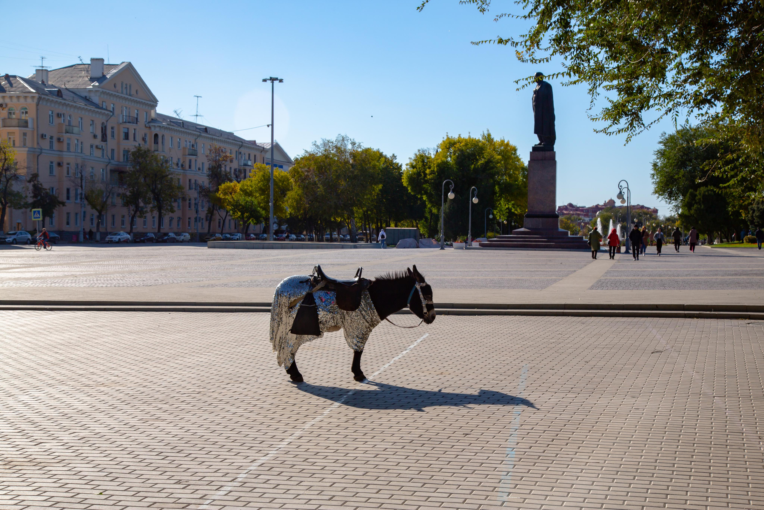 Астрахань. Photographer Sonkina Tatiana (Tanya Ash)