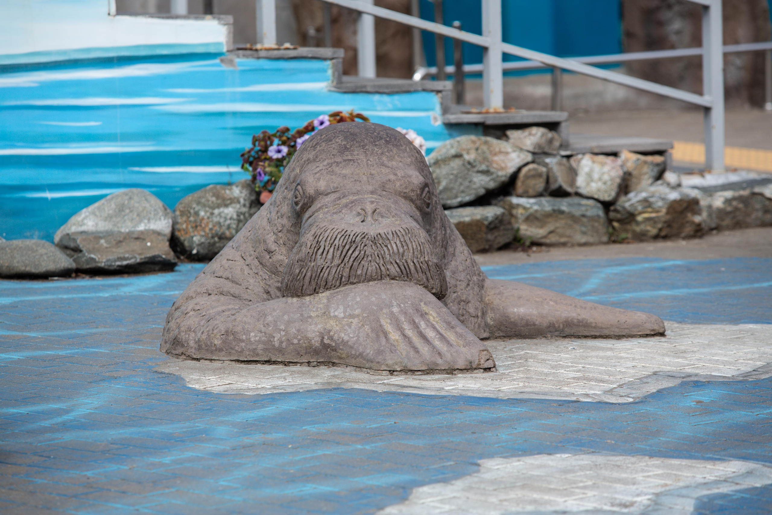 Izhevsk zoo. Photographer Sonkina Tatiana (Tanya Ash)