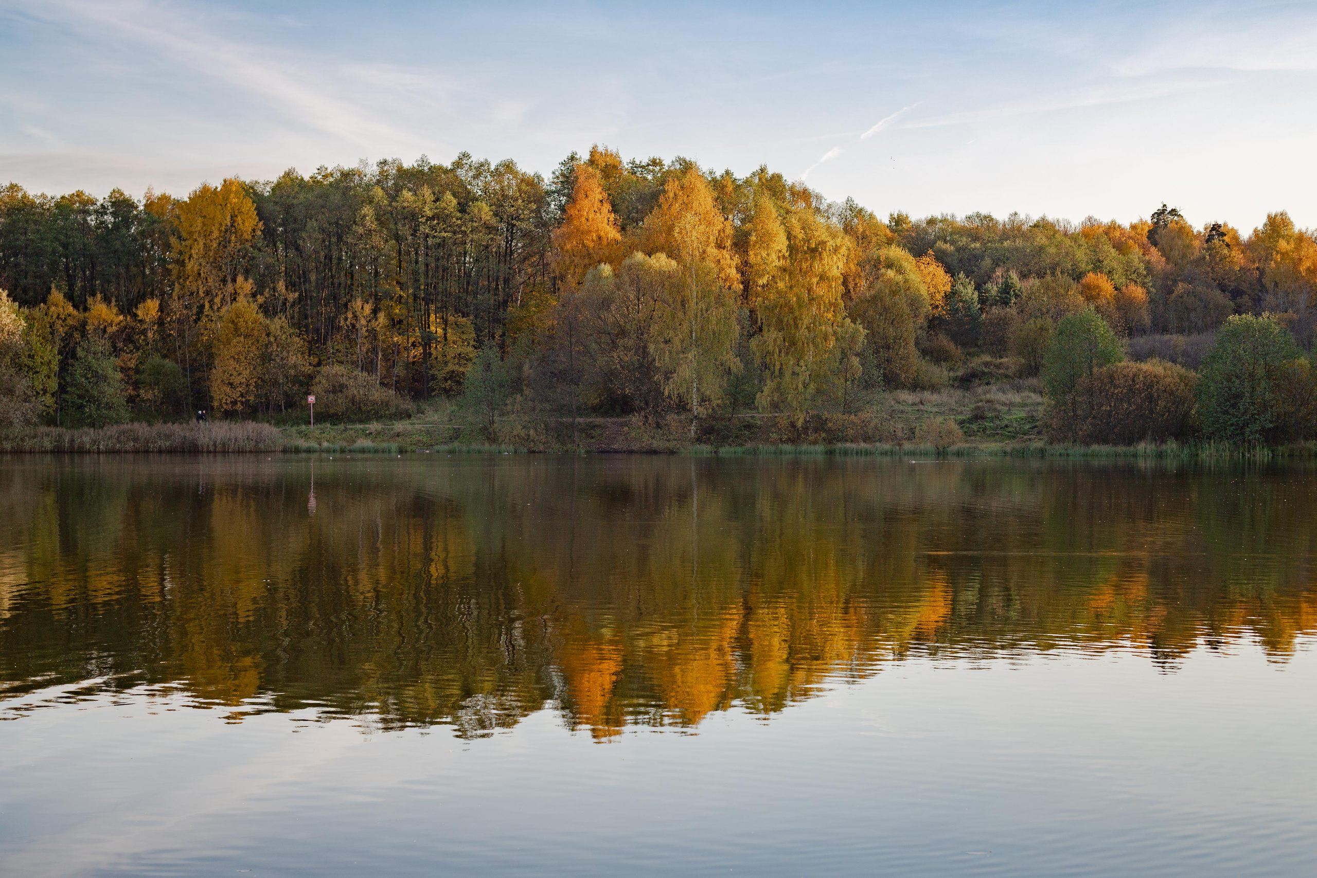 Лебедянский пруд в Измайловском лесопарке