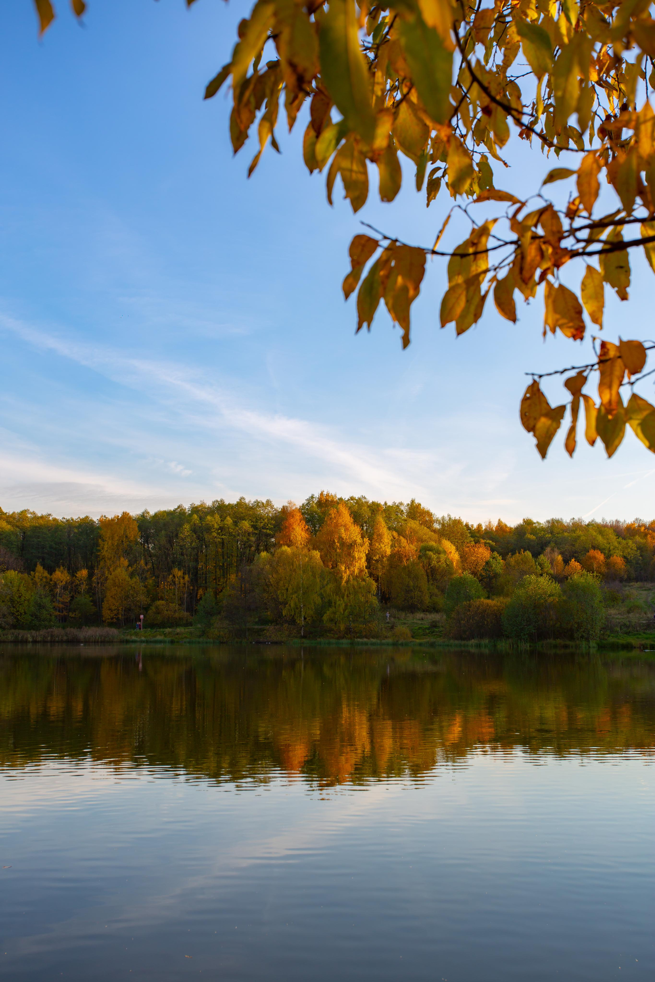 Лебедянский пруд в Измайловском лесопарке