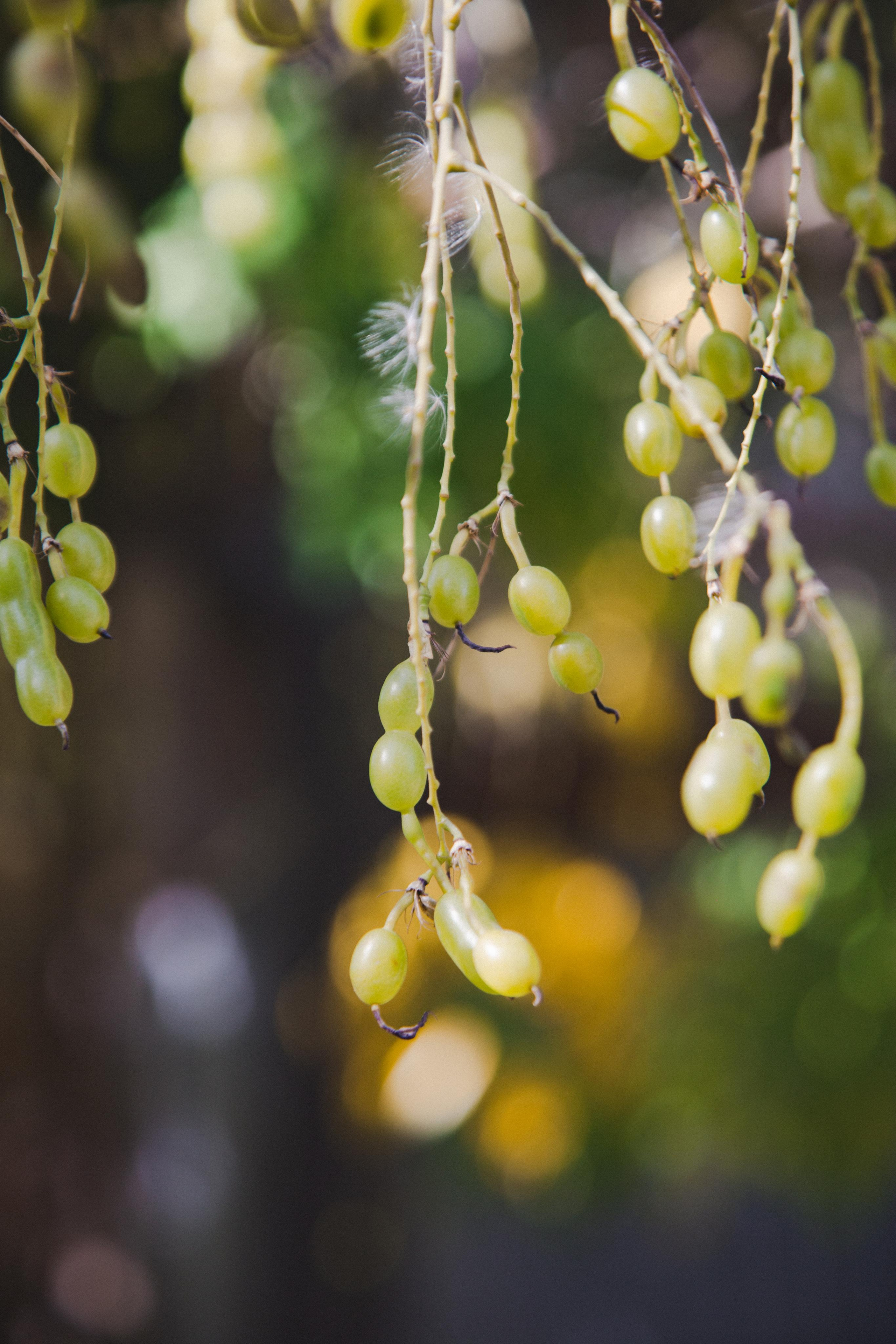 Астрахань. Photographer Sonkina Tatiana (Tanya Ash)