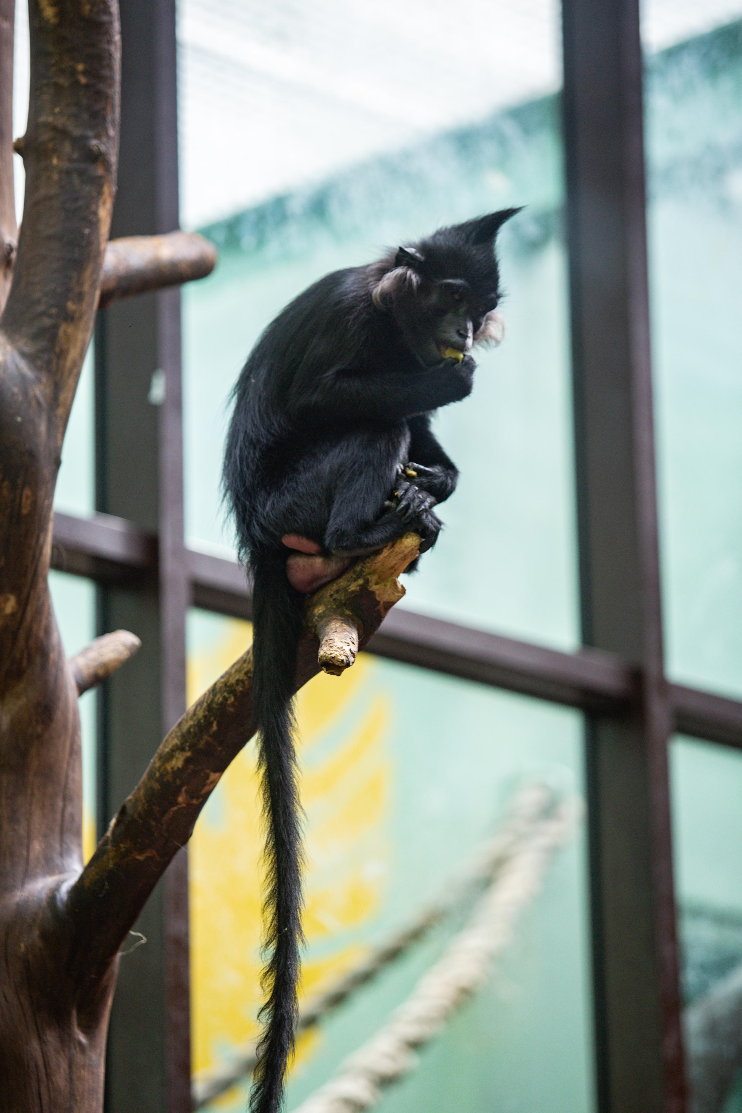 Izhevsk zoo. Photographer Sonkina Tatiana (Tanya Ash)