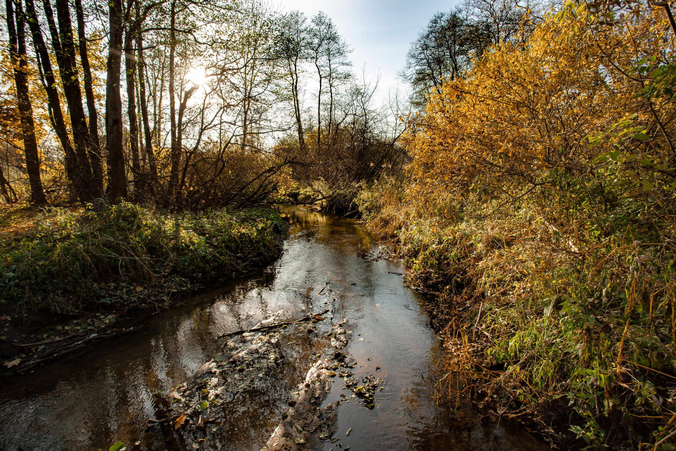 Октябрь в Измайловском лесопарке