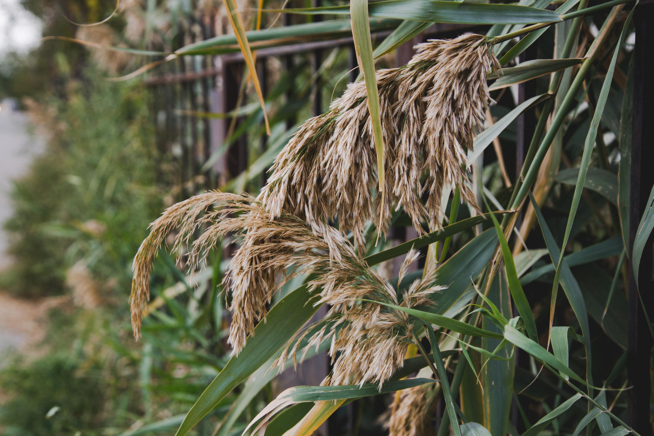 Астрахань. Photographer Sonkina Tatiana (Tanya Ash)