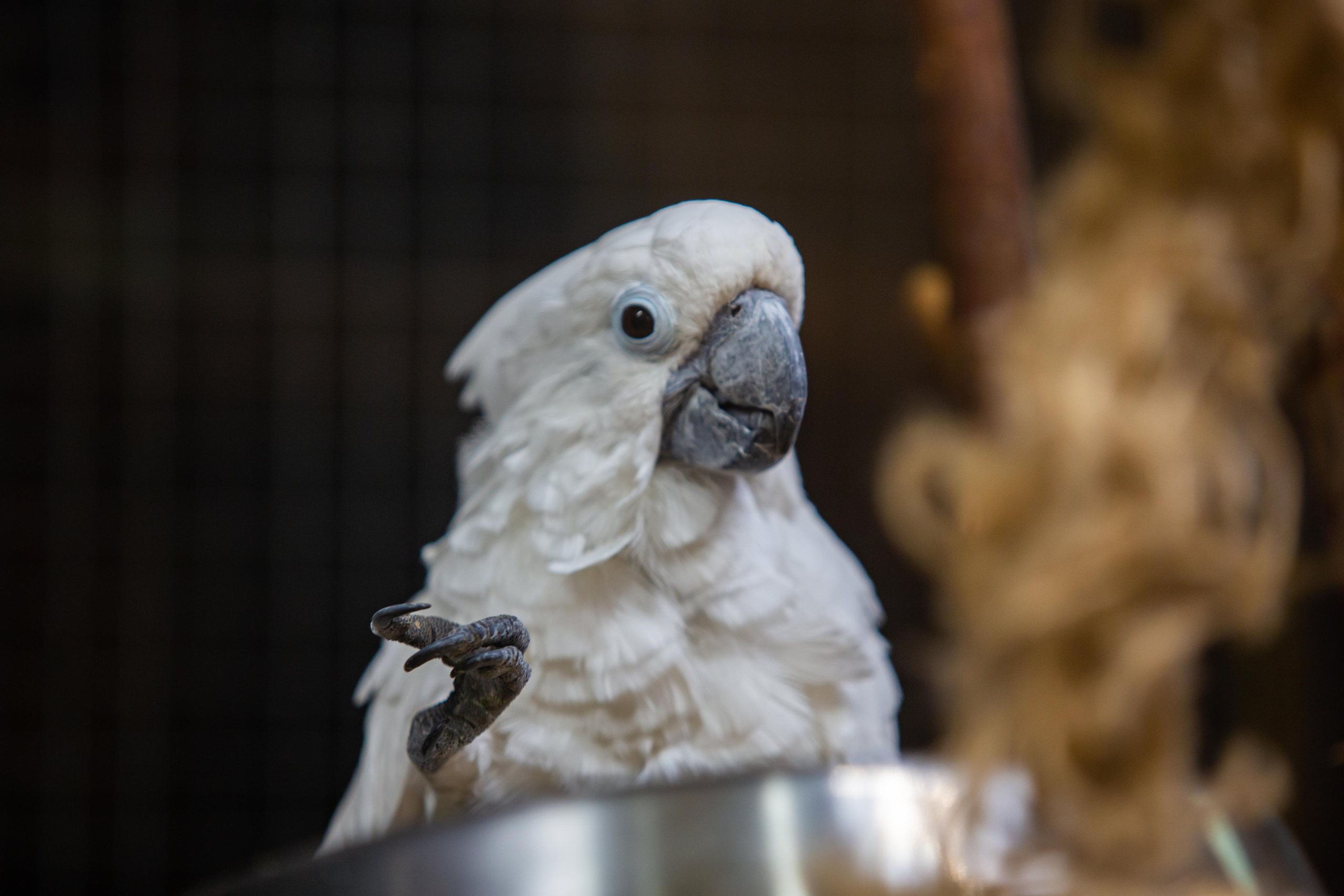 Izhevsk zoo. Photographer Sonkina Tatiana (Tanya Ash)