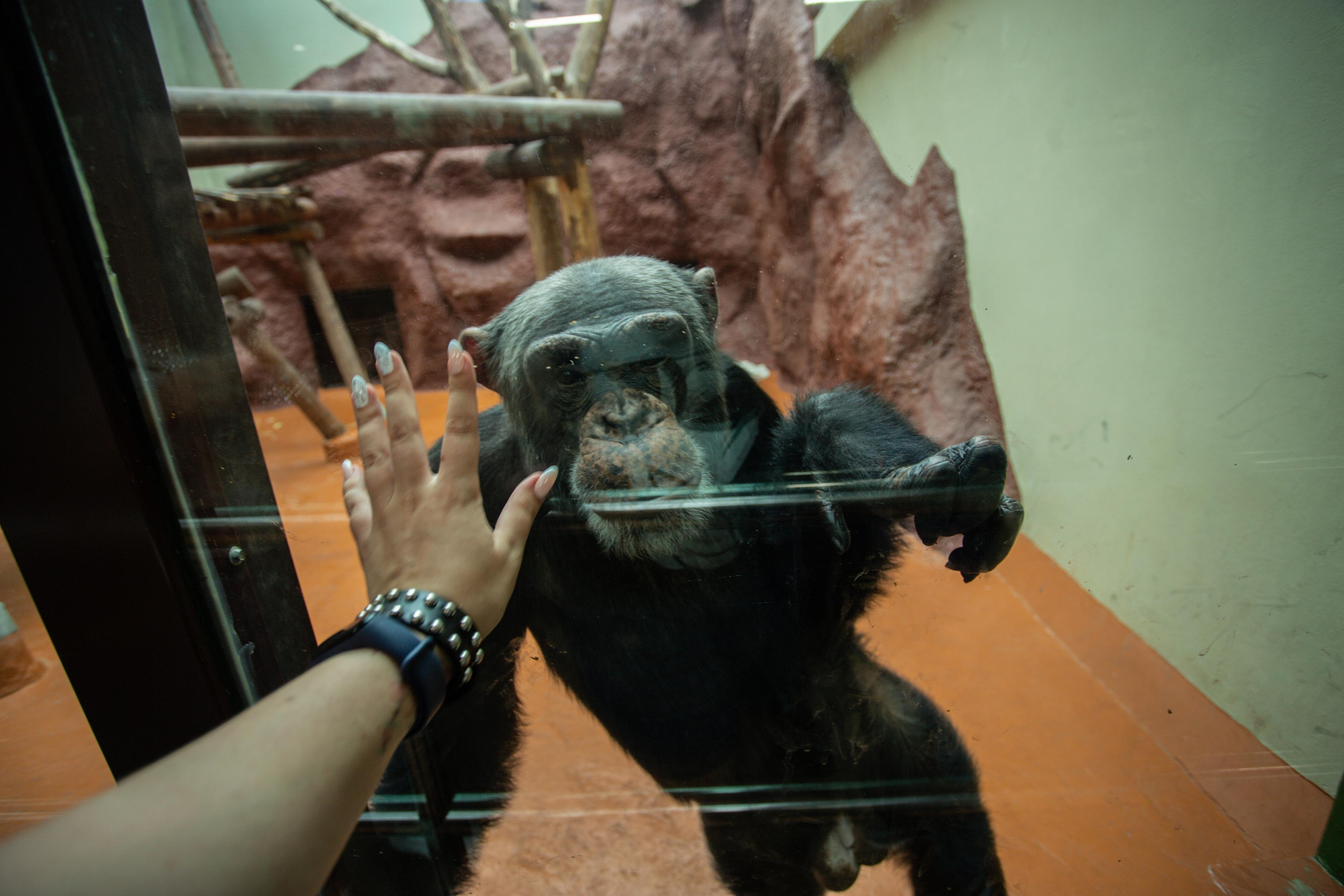 Izhevsk zoo. Photographer Sonkina Tatiana (Tanya Ash)