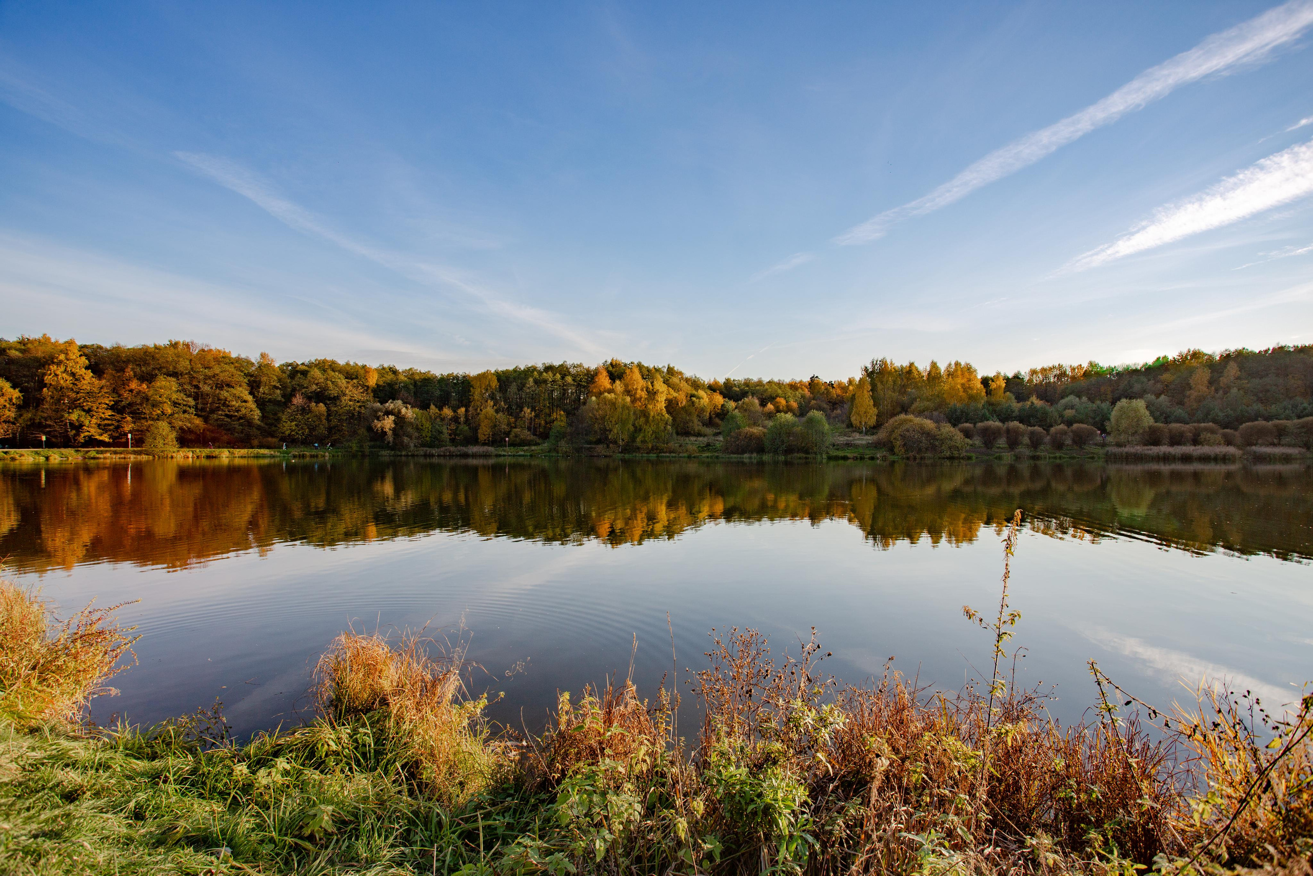 Лебедянский пруд в Измайловском лесопарке