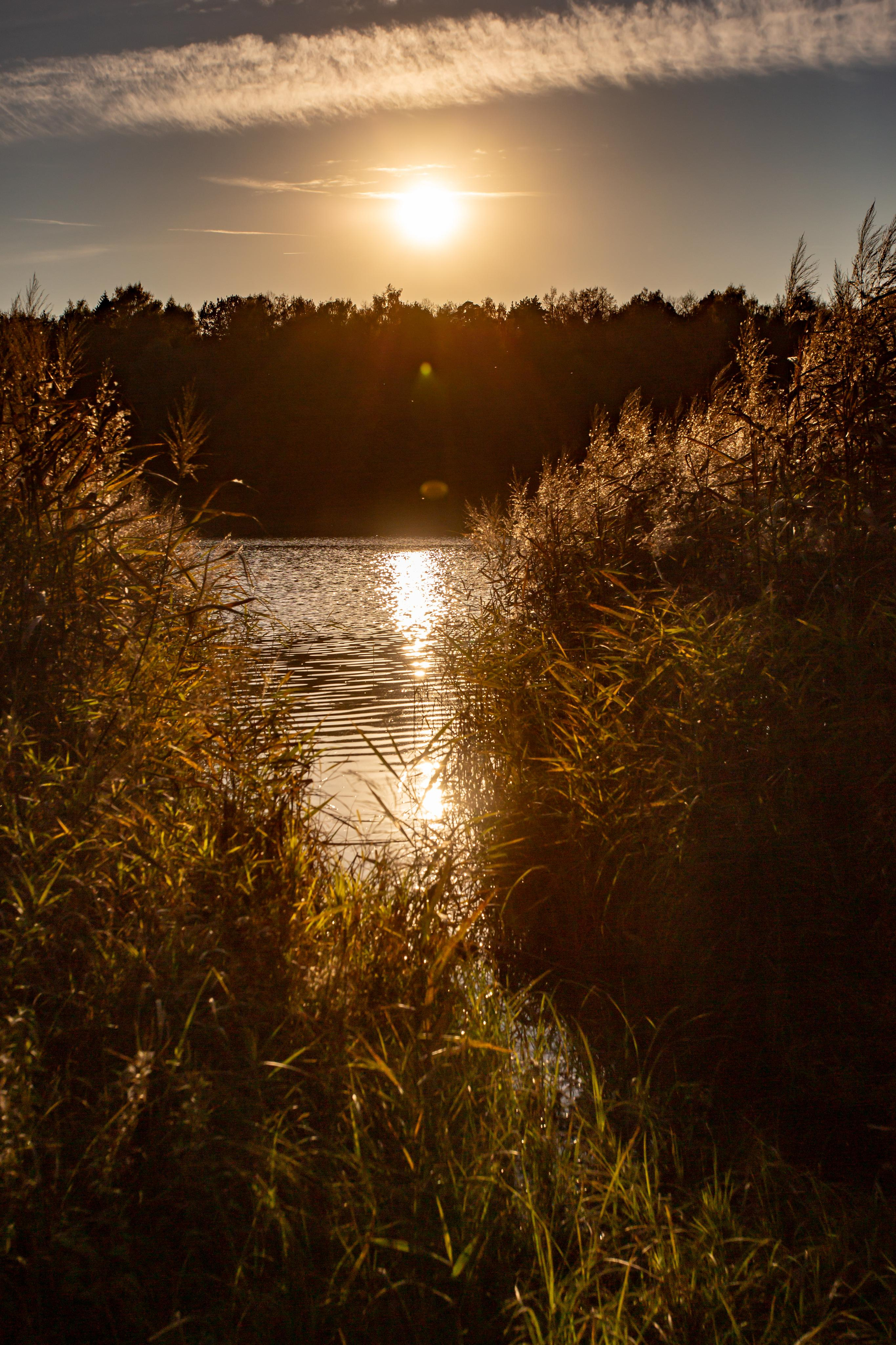 Лебедянский пруд в Измайловском лесопарке