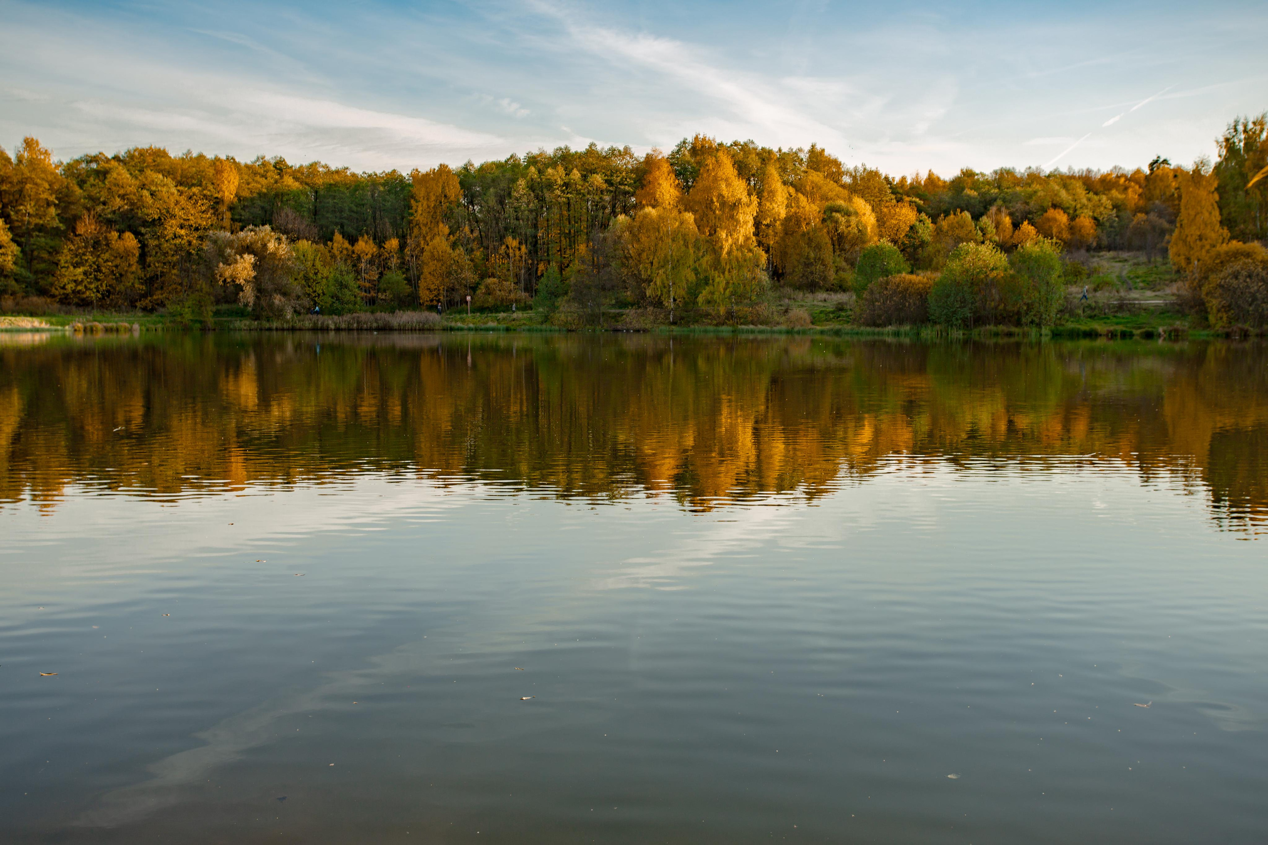 Лебедянский пруд в Измайловском лесопарке