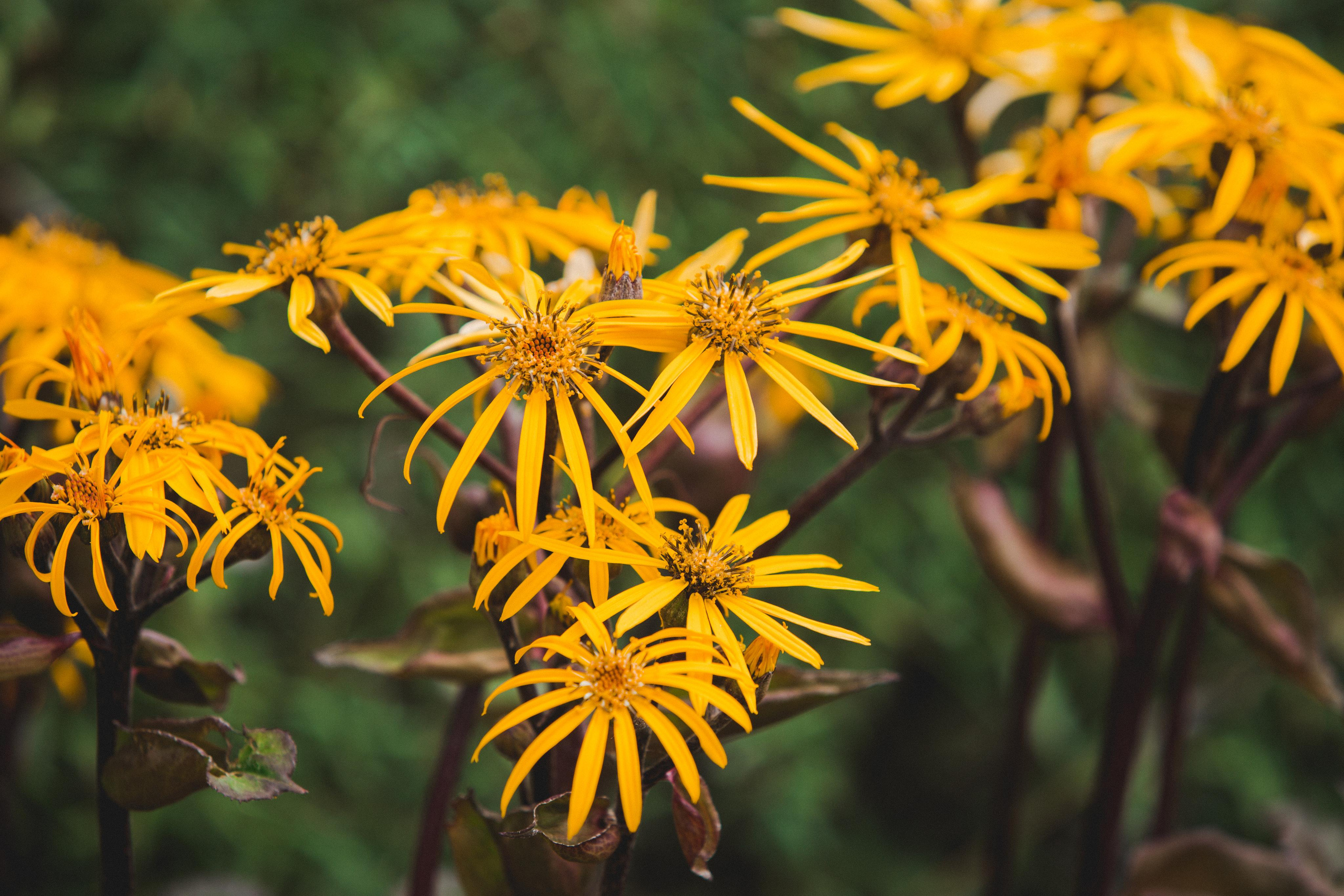 Izhevsk zoo. Photographer Sonkina Tatiana (Tanya Ash)