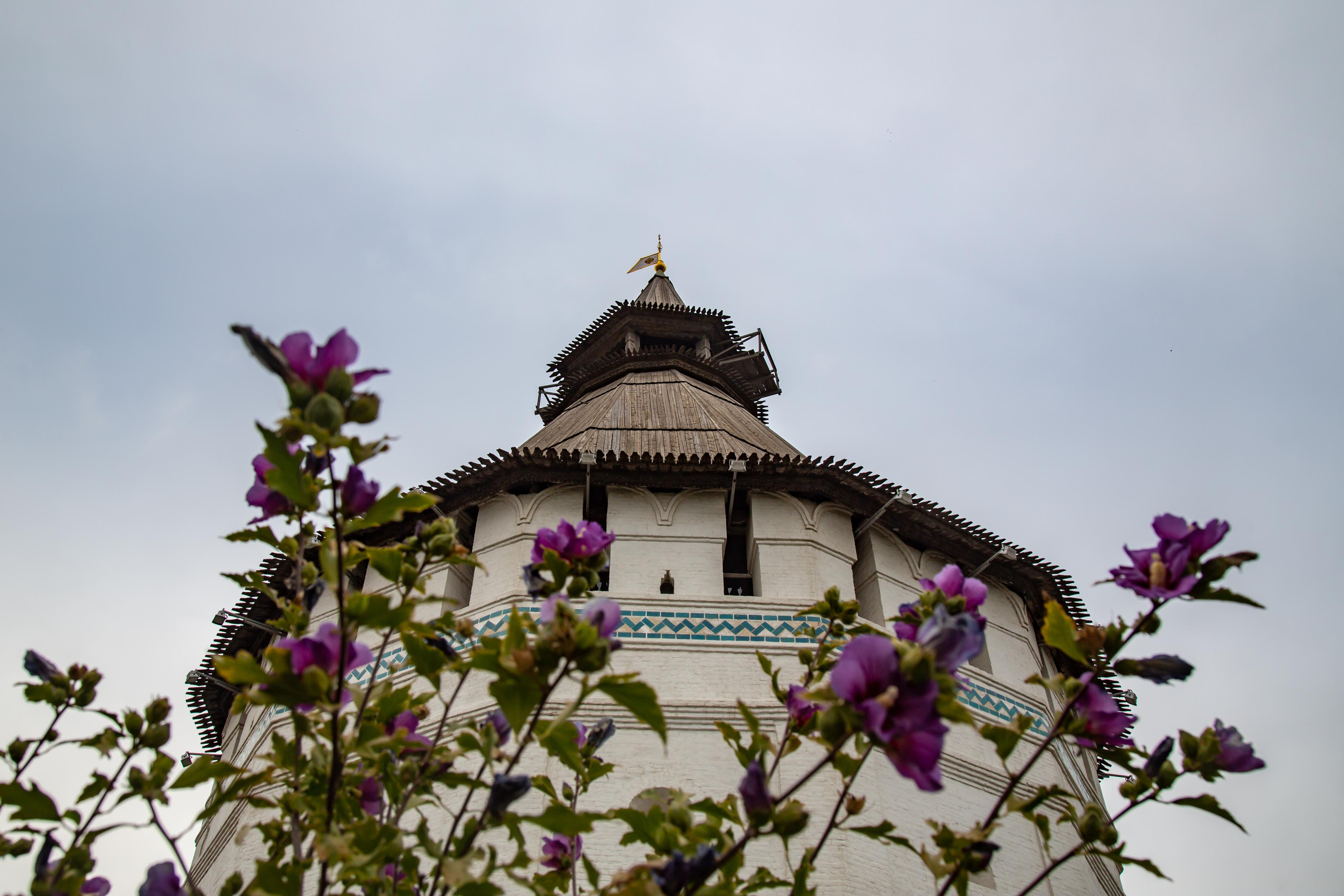 Астрахань. Photographer Sonkina Tatiana (Tanya Ash)