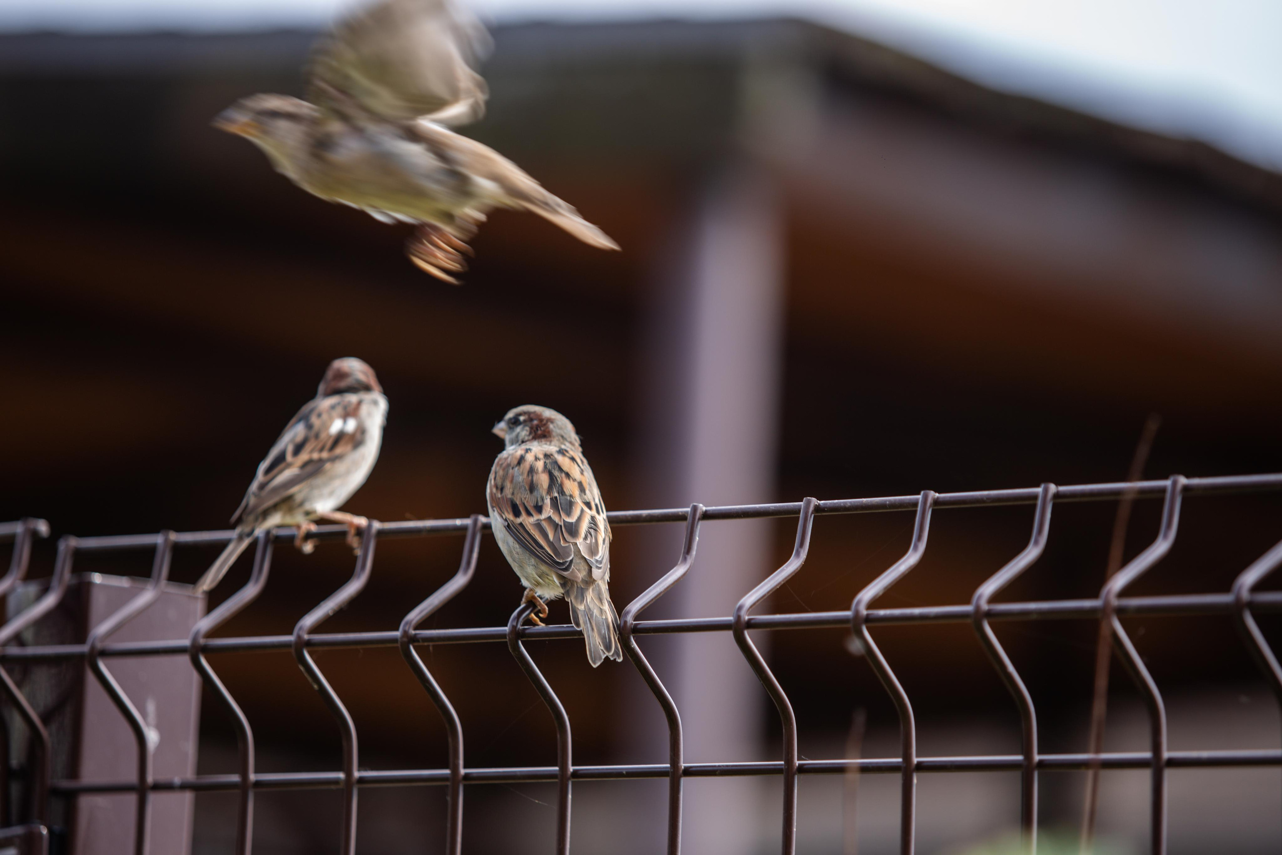 Izhevsk zoo. Photographer Sonkina Tatiana (Tanya Ash)