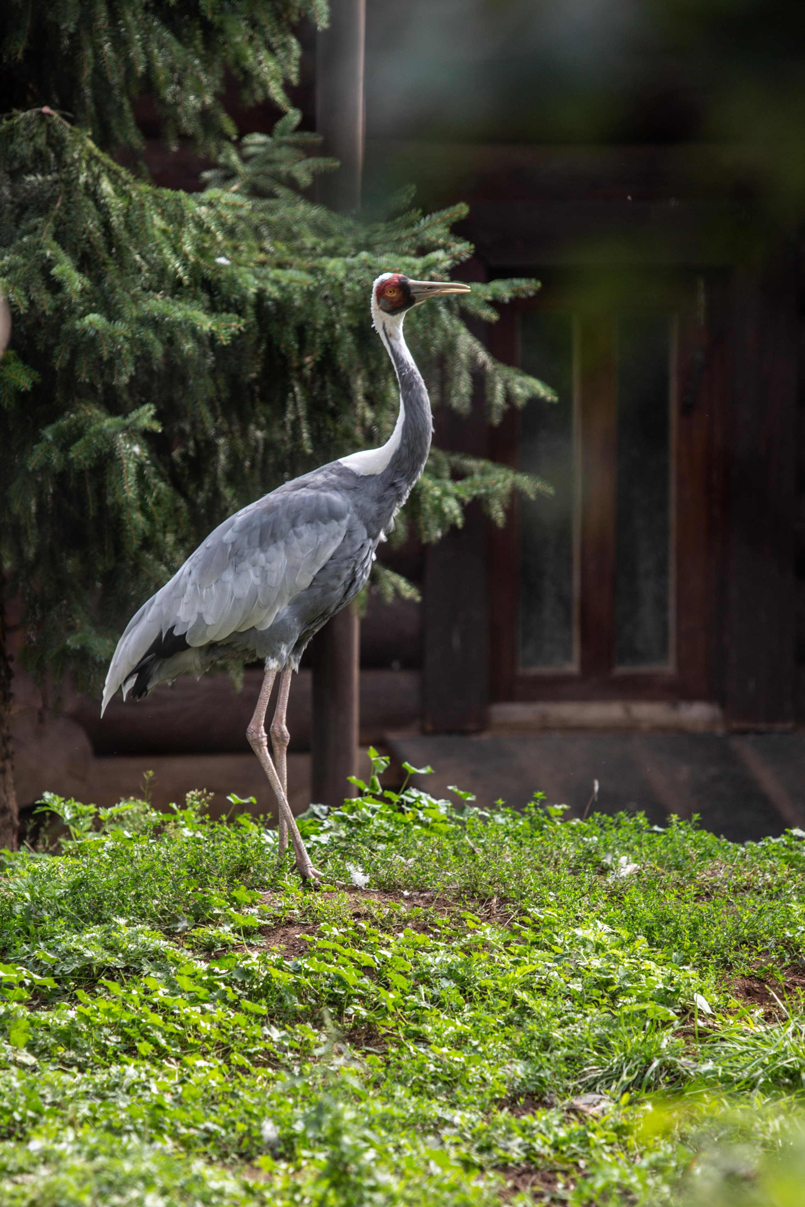Izhevsk zoo. Photographer Sonkina Tatiana (Tanya Ash)