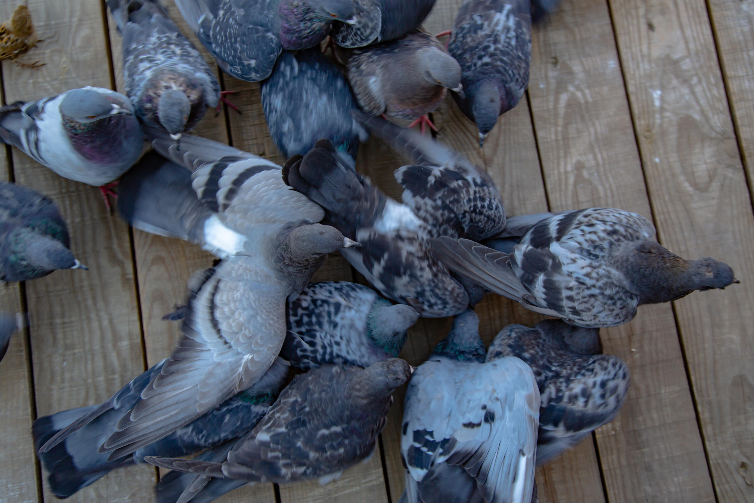 Астрахань. Photographer Sonkina Tatiana (Tanya Ash)