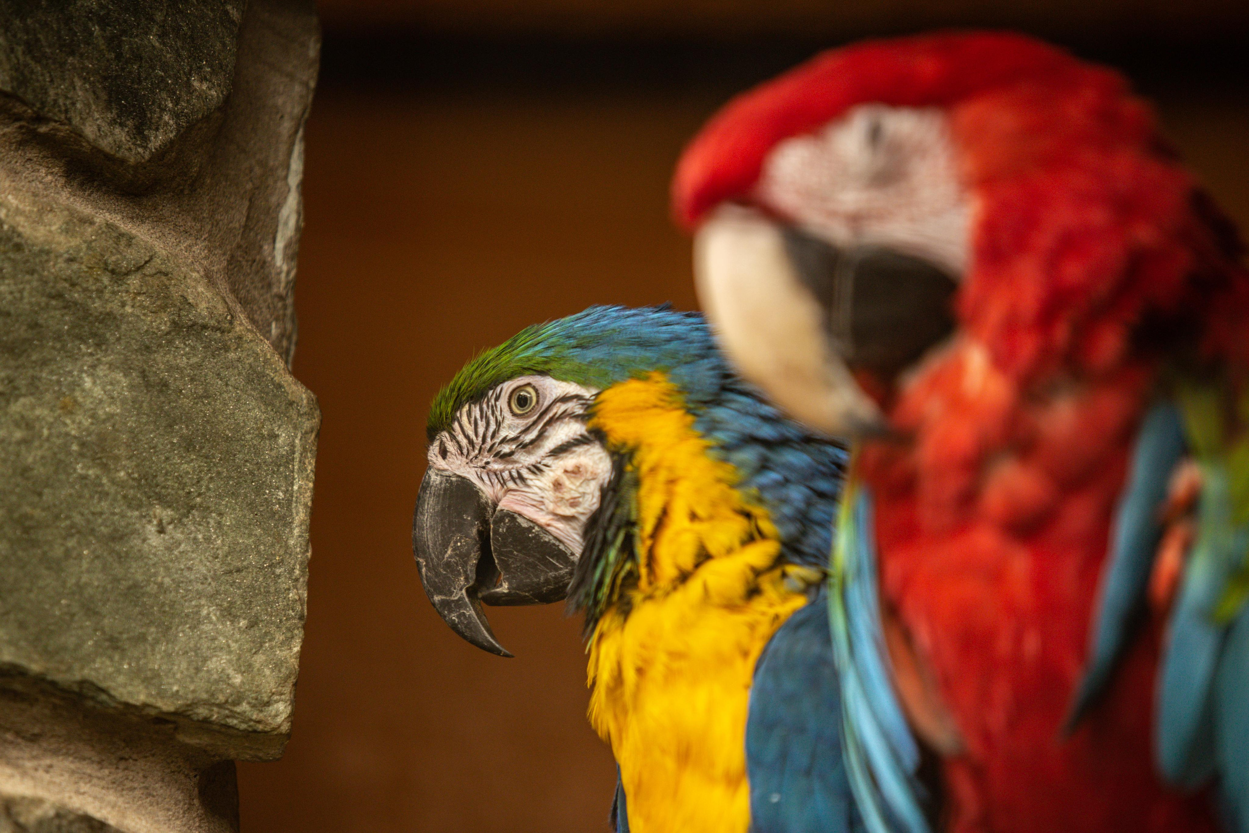 Izhevsk zoo. Photographer Sonkina Tatiana (Tanya Ash)