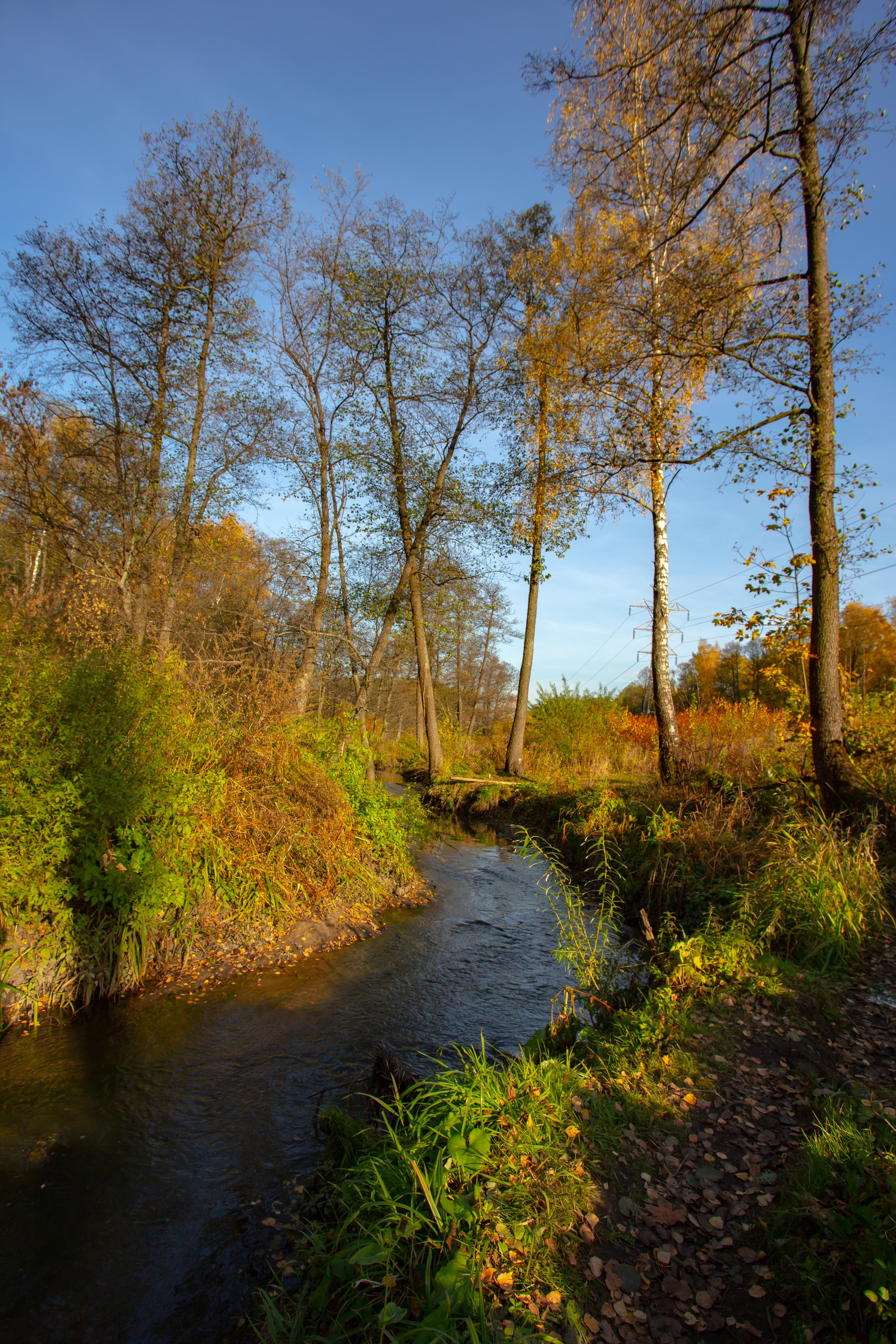 Октябрь в Измайловском лесопарке