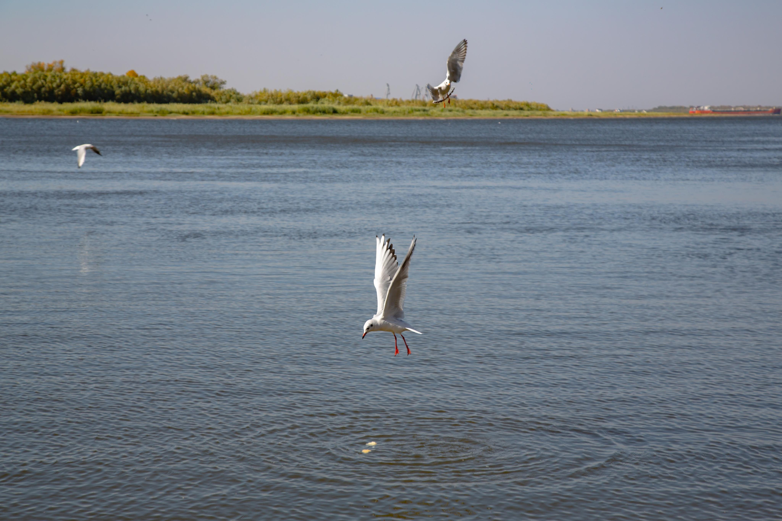 Астрахань. Photographer Sonkina Tatiana (Tanya Ash)