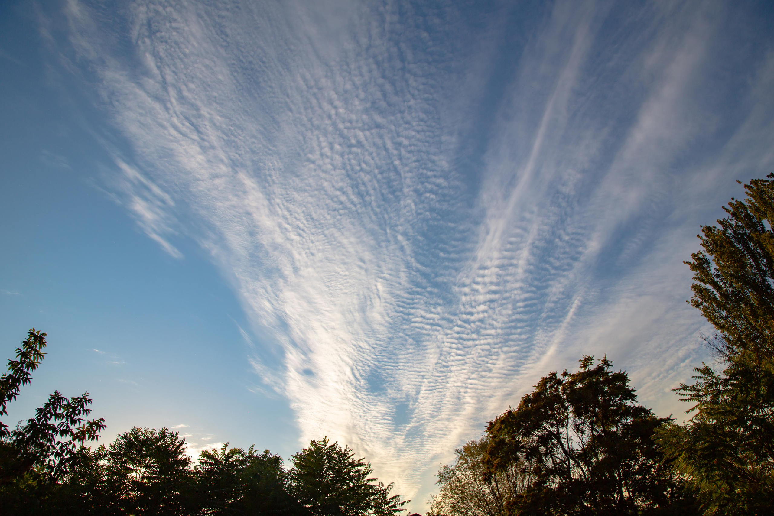 Астрахань. Photographer Sonkina Tatiana (Tanya Ash)
