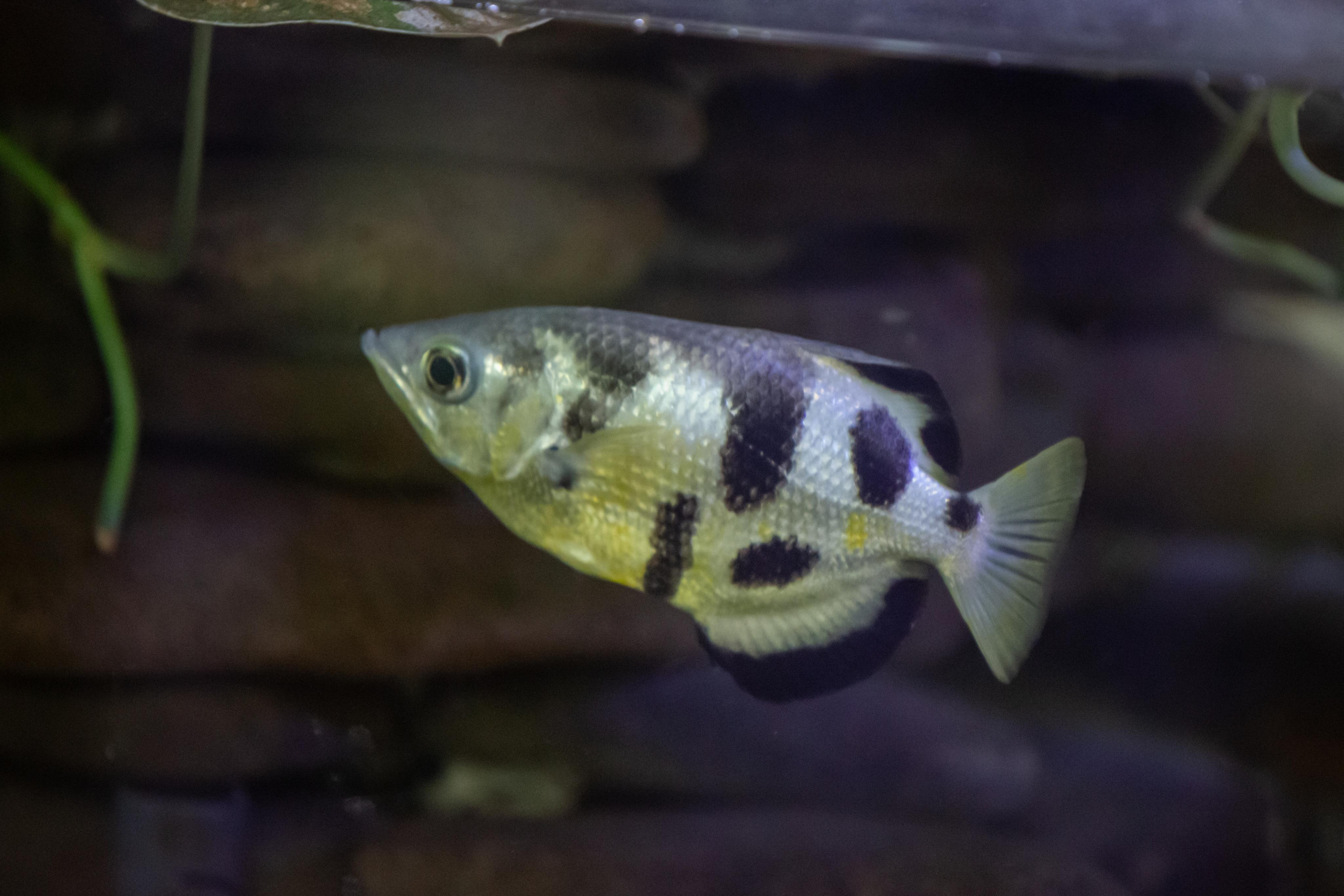 Izhevsk zoo. Photographer Sonkina Tatiana (Tanya Ash)